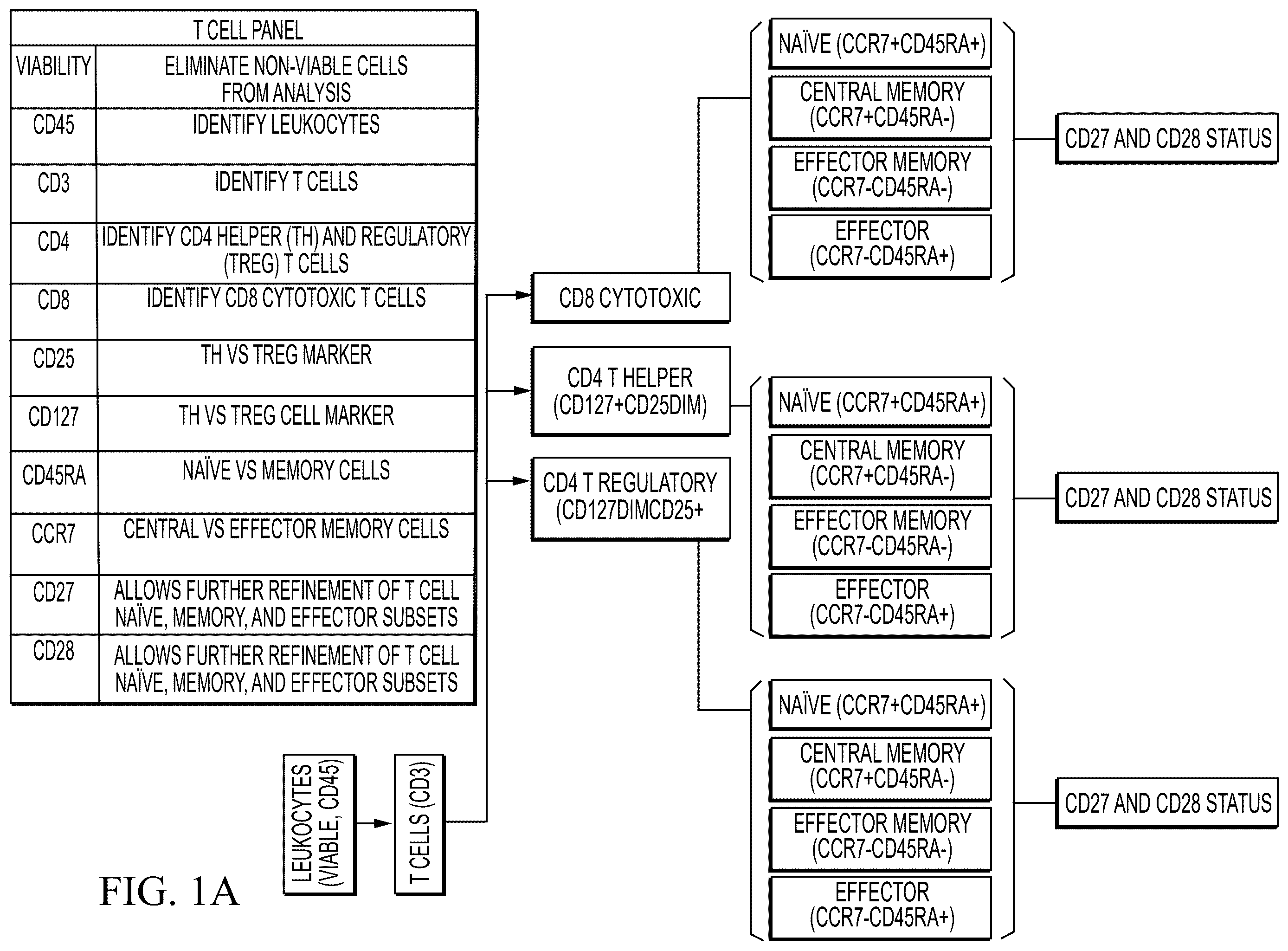 Patent US12480951 Figure 1 – Methods and compositions for T cell therapy