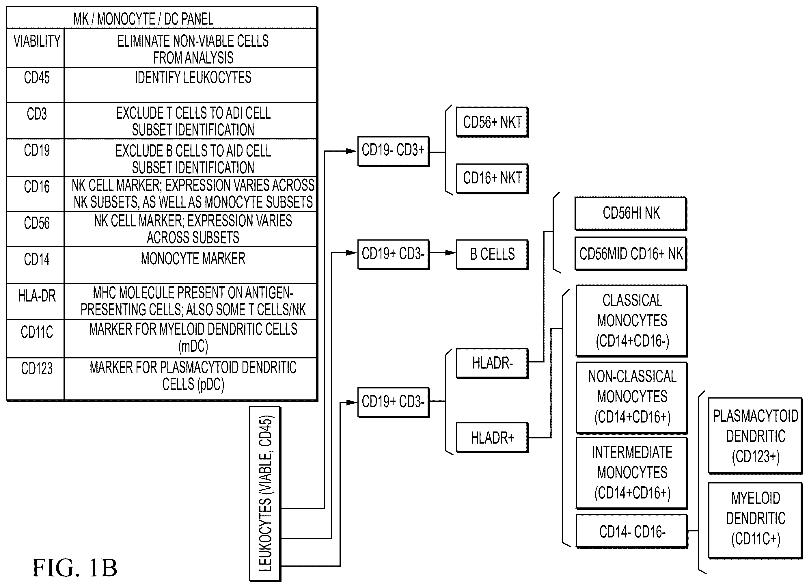 Patent US12480951 Figure 2 – Methods and compositions for T cell therapy