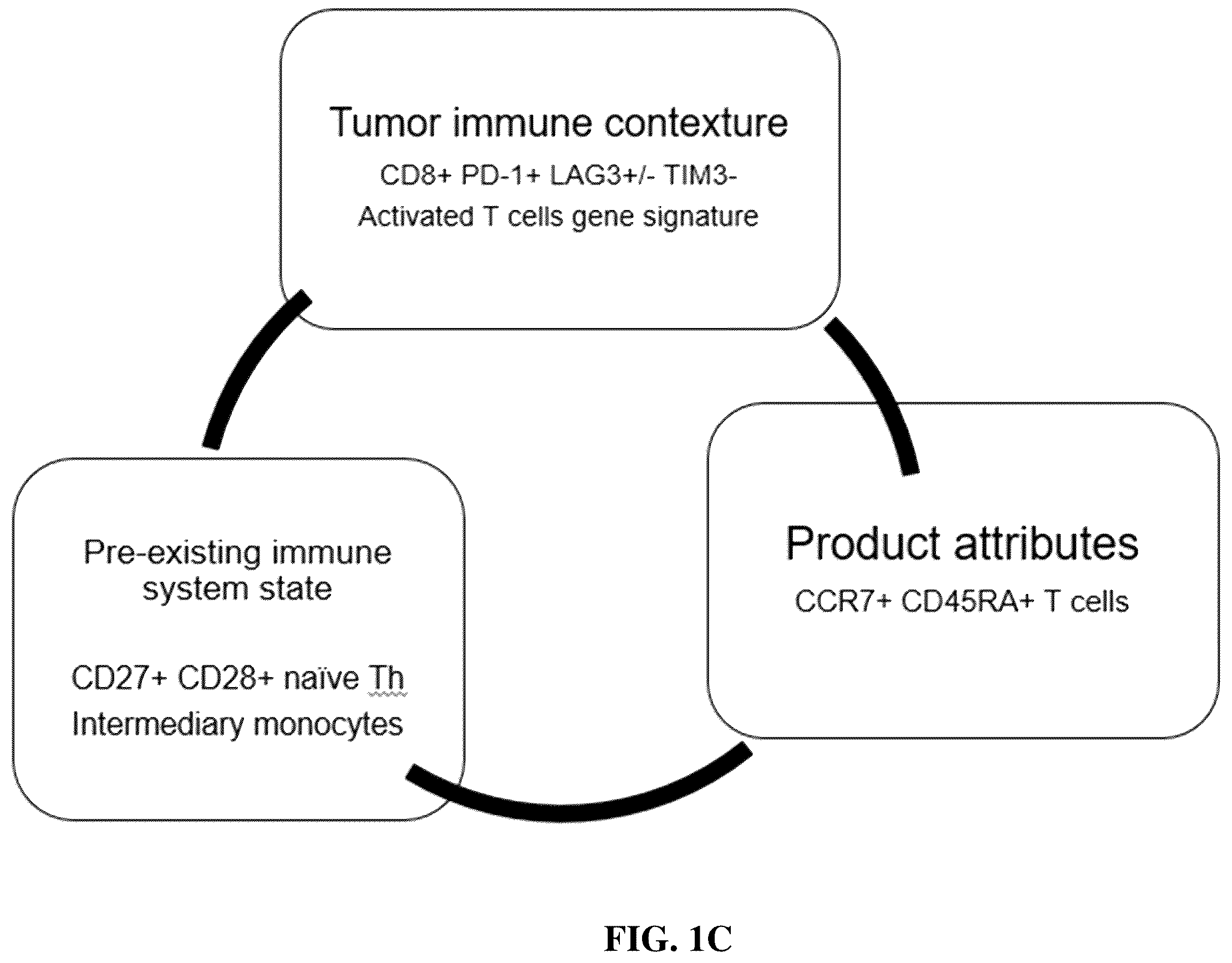 Patent US12480951 Figure 3 – Methods and compositions for T cell therapy