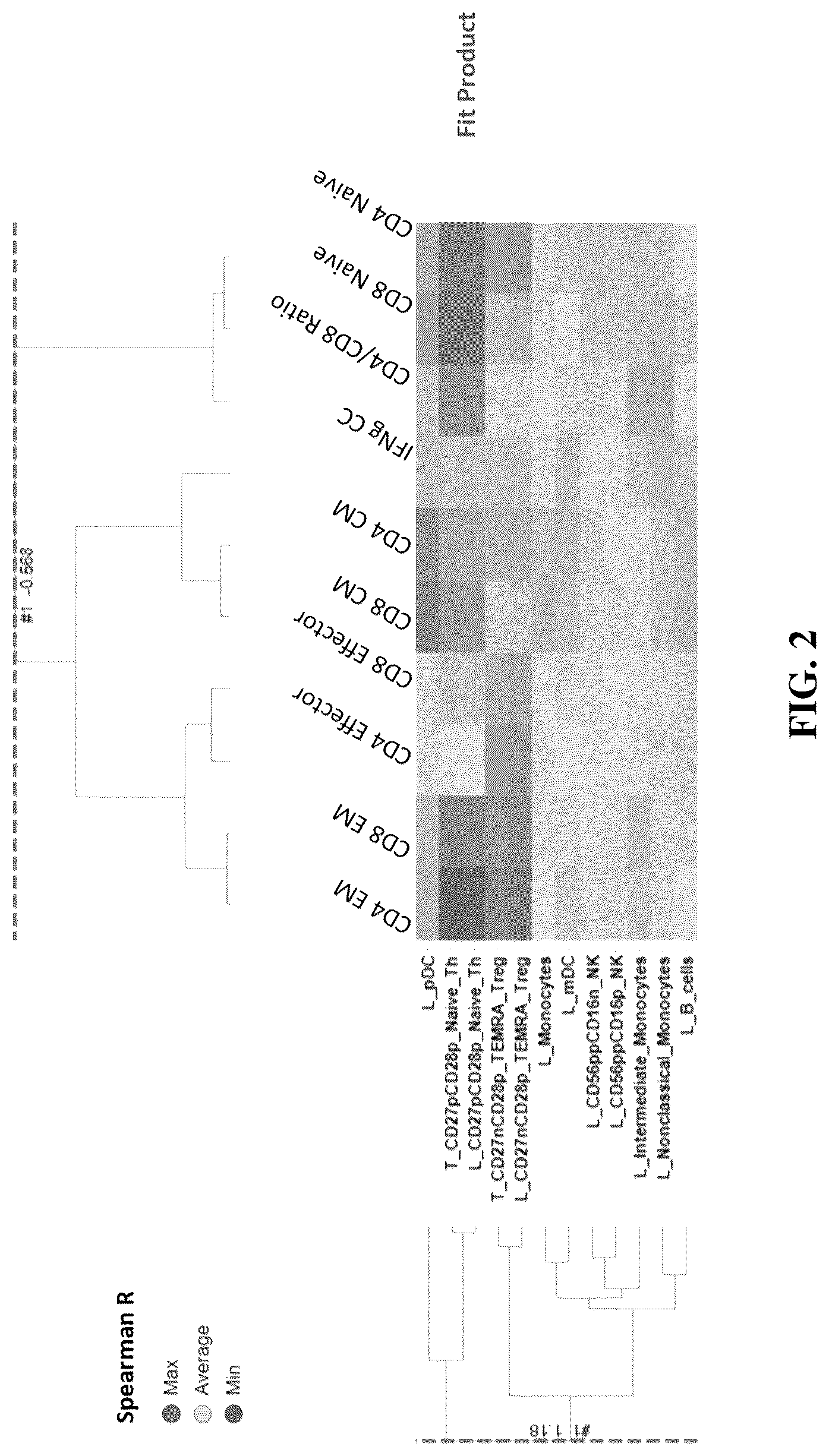 Patent US12480951 Figure 4 – Methods and compositions for T cell therapy