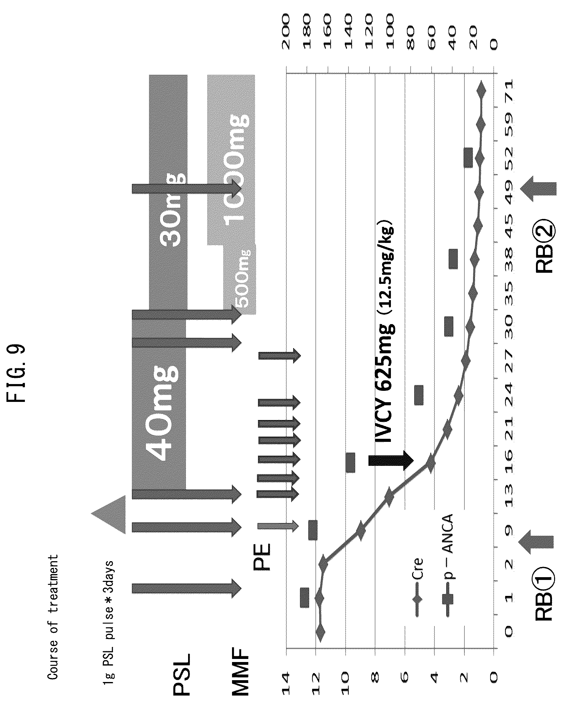 Patent US12480954 Figure 9 – Method for assisting evaluation of condition of kidneys, system for evaluating condition of kidneys, and program for evaluating condition of kidneys