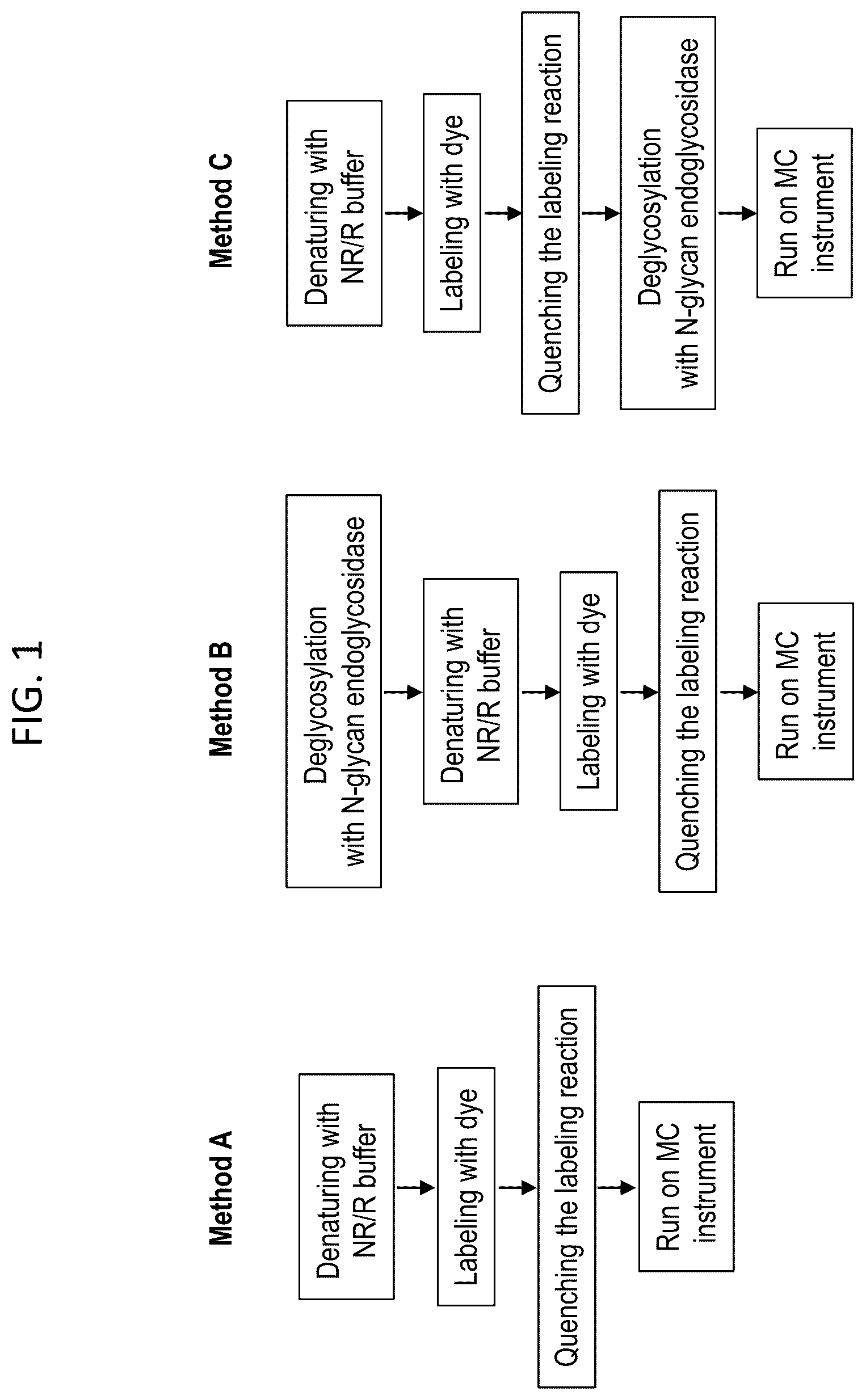 Patent US12480955 Figure 1 – Deglycosylation methods for electrophoresis of glycosylated proteins