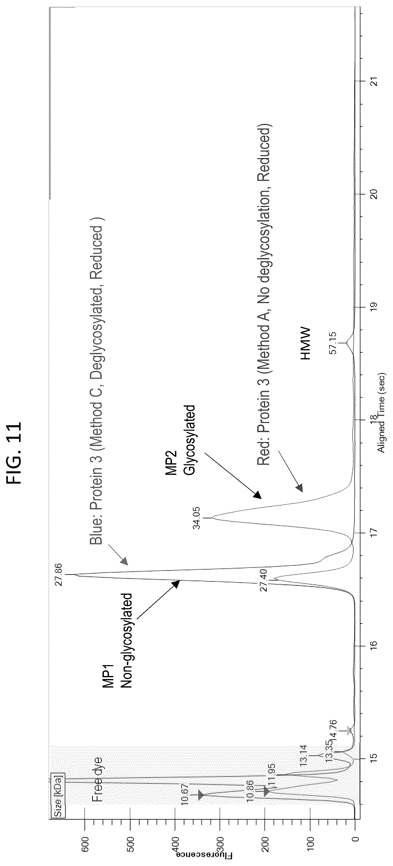 Patent US12480955 Figure 11 – Deglycosylation methods for electrophoresis of glycosylated proteins