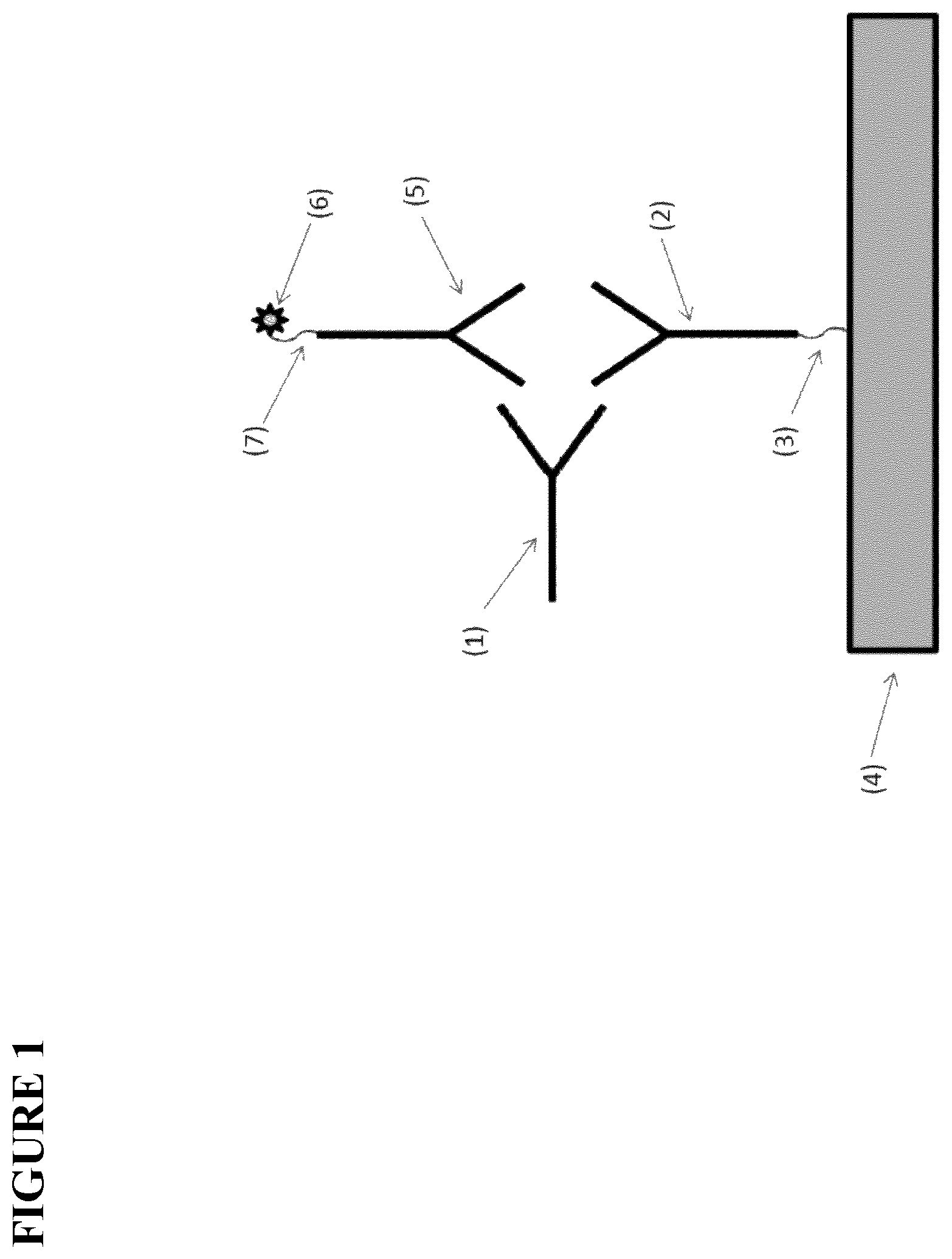 Patent US12480957 Figure 1 – Method of screening for anti-drug antibodies against immunoglobulin single variable domain-based drugs