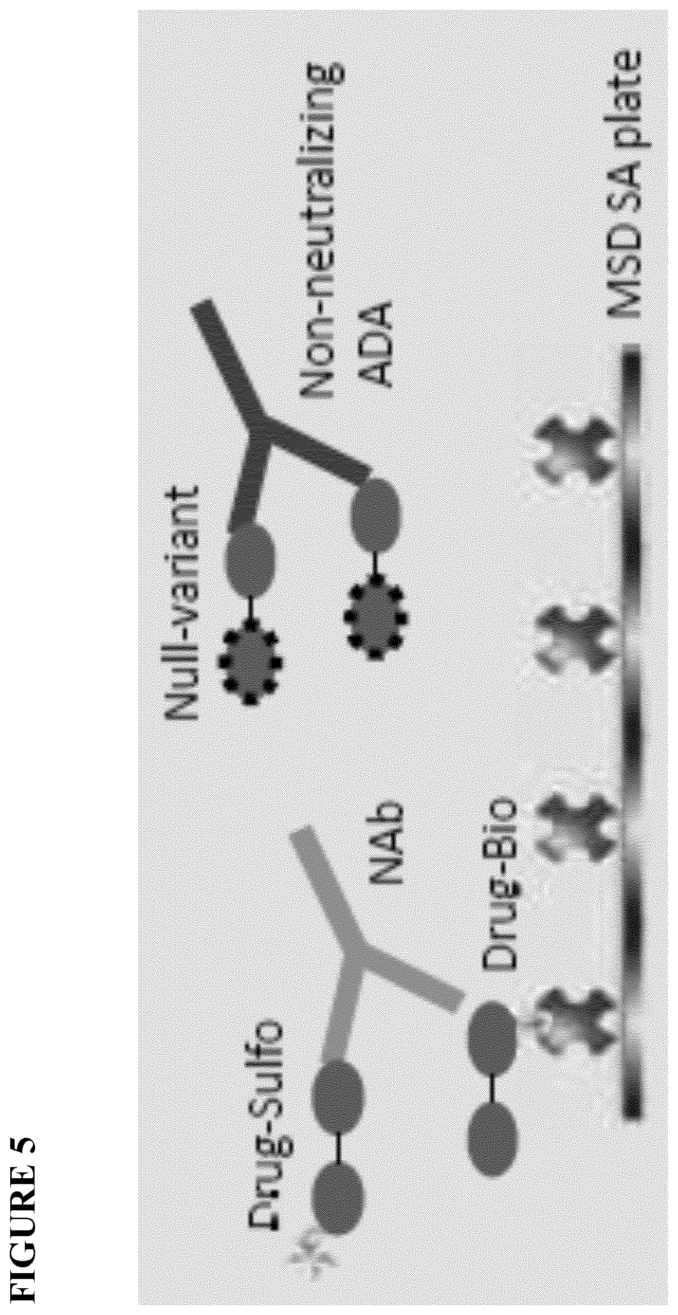 Patent US12480957 Figure 6 – Method of screening for anti-drug antibodies against immunoglobulin single variable domain-based drugs