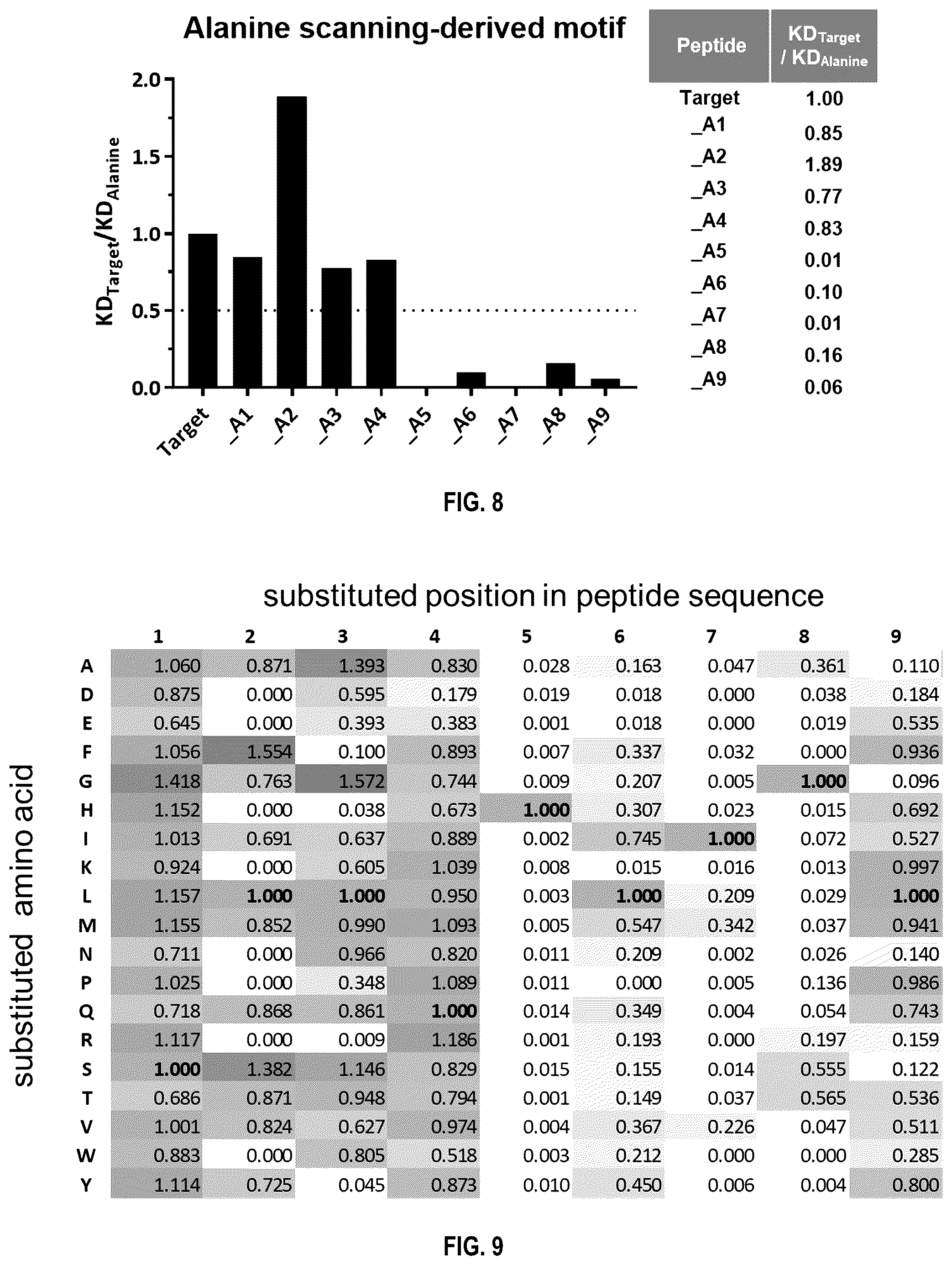 Patent US12480958 Figure 9 – Method for the characterization of peptide:MHC binding polypeptides