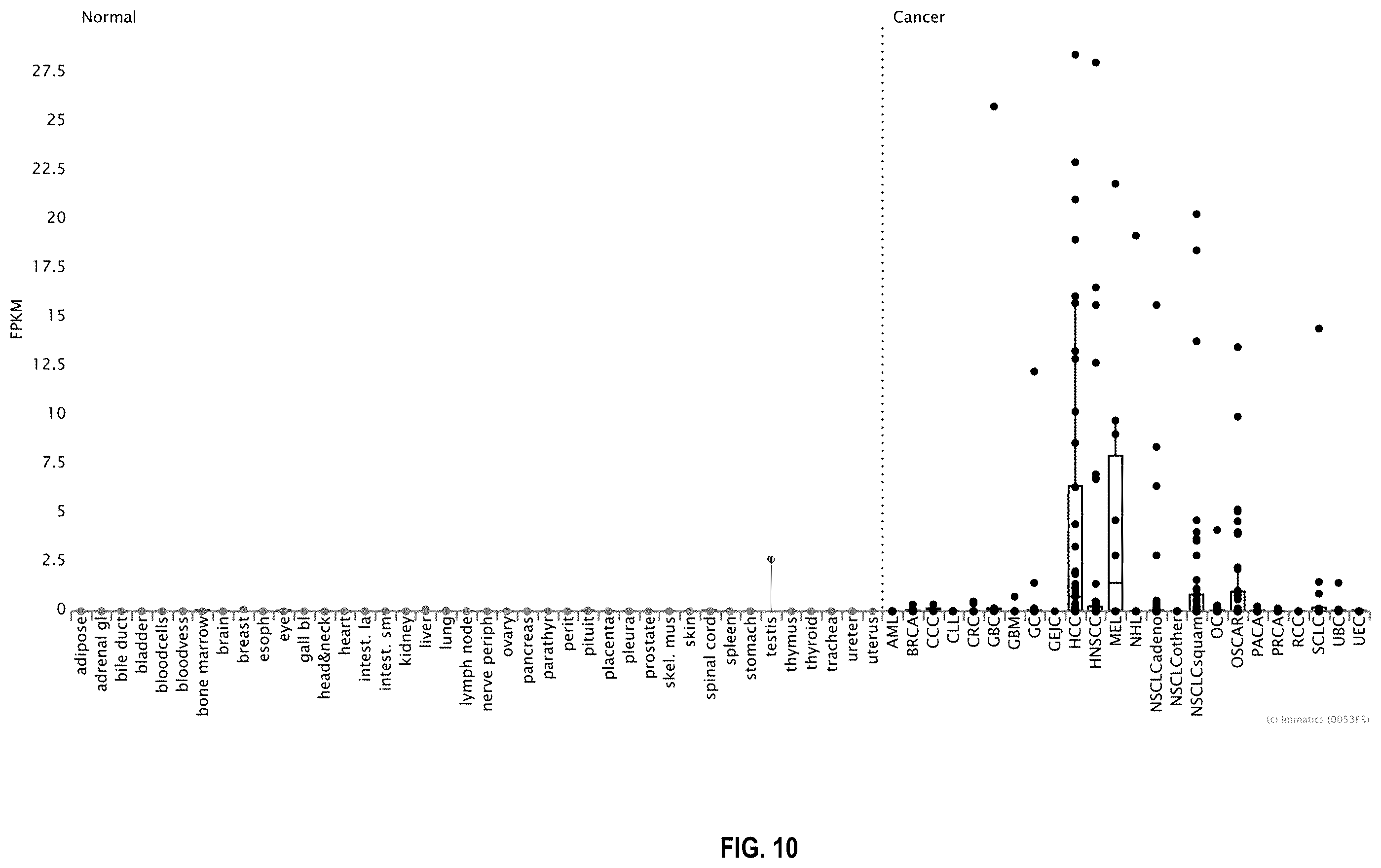 Patent US12480958 Figure 10 – Method for the characterization of peptide:MHC binding polypeptides