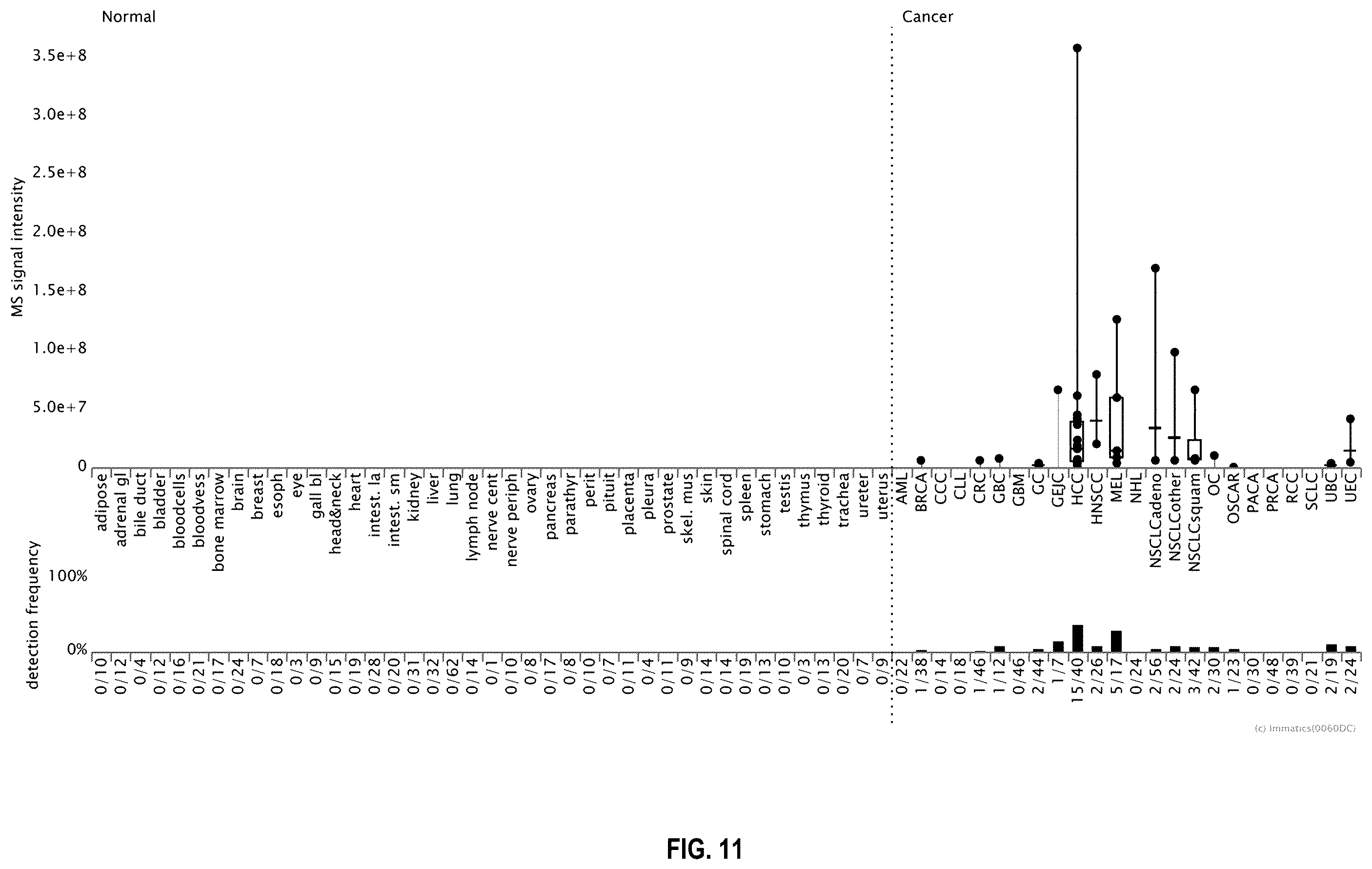 Patent US12480958 Figure 11 – Method for the characterization of peptide:MHC binding polypeptides