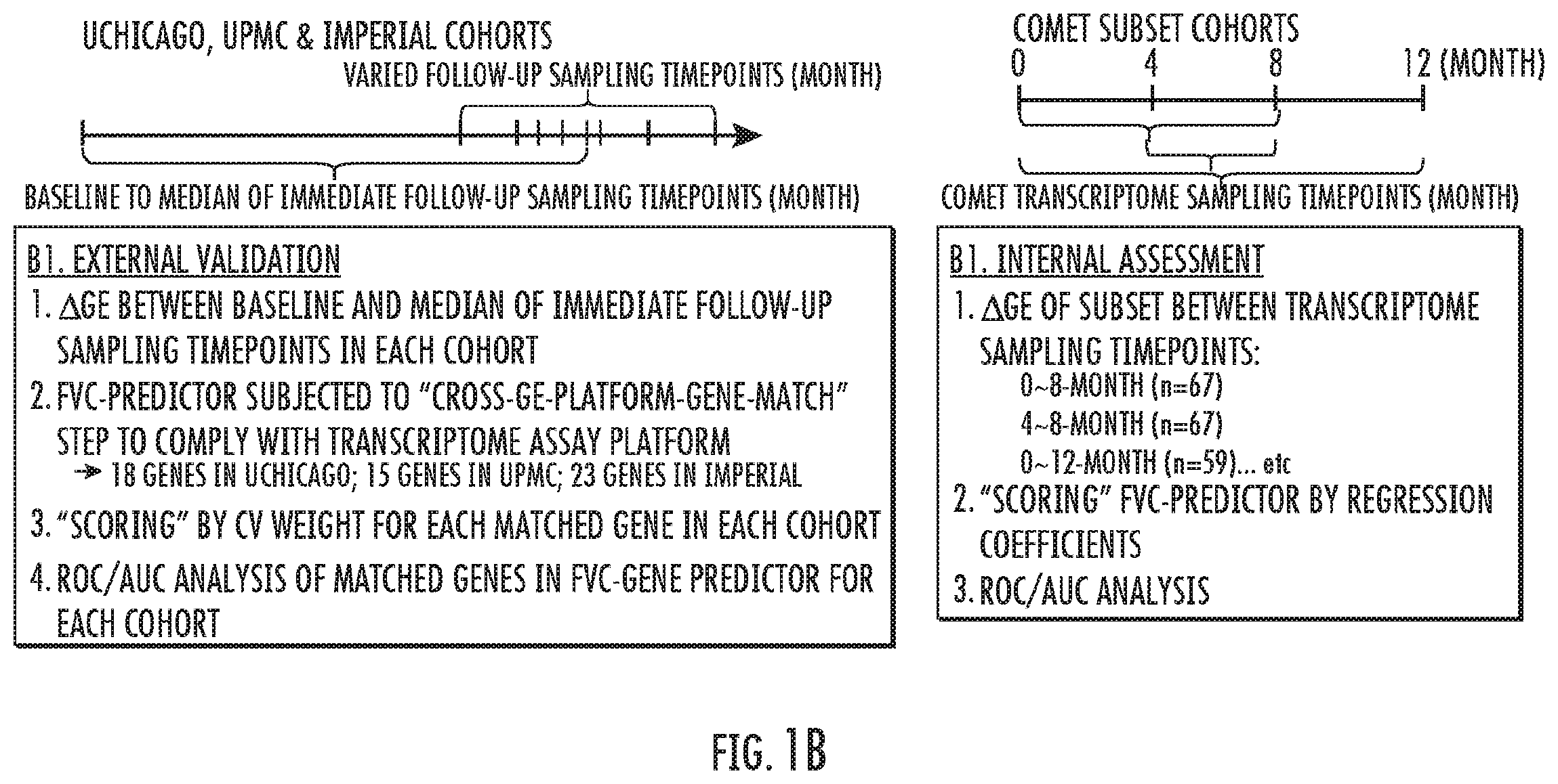 Patent US12480960 Figure 2 – Compositions and methods for predicting lung function decline in idiopathic pulmonary fibrosis