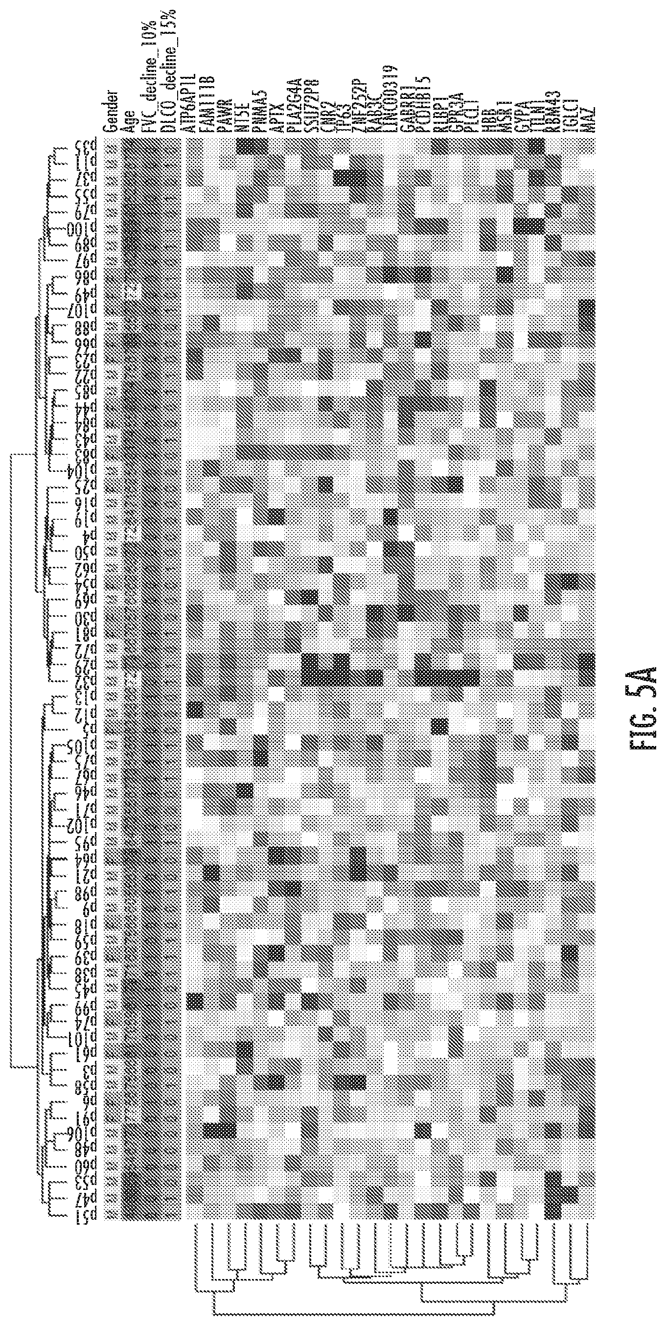 Patent US12480960 Figure 8 – Compositions and methods for predicting lung function decline in idiopathic pulmonary fibrosis