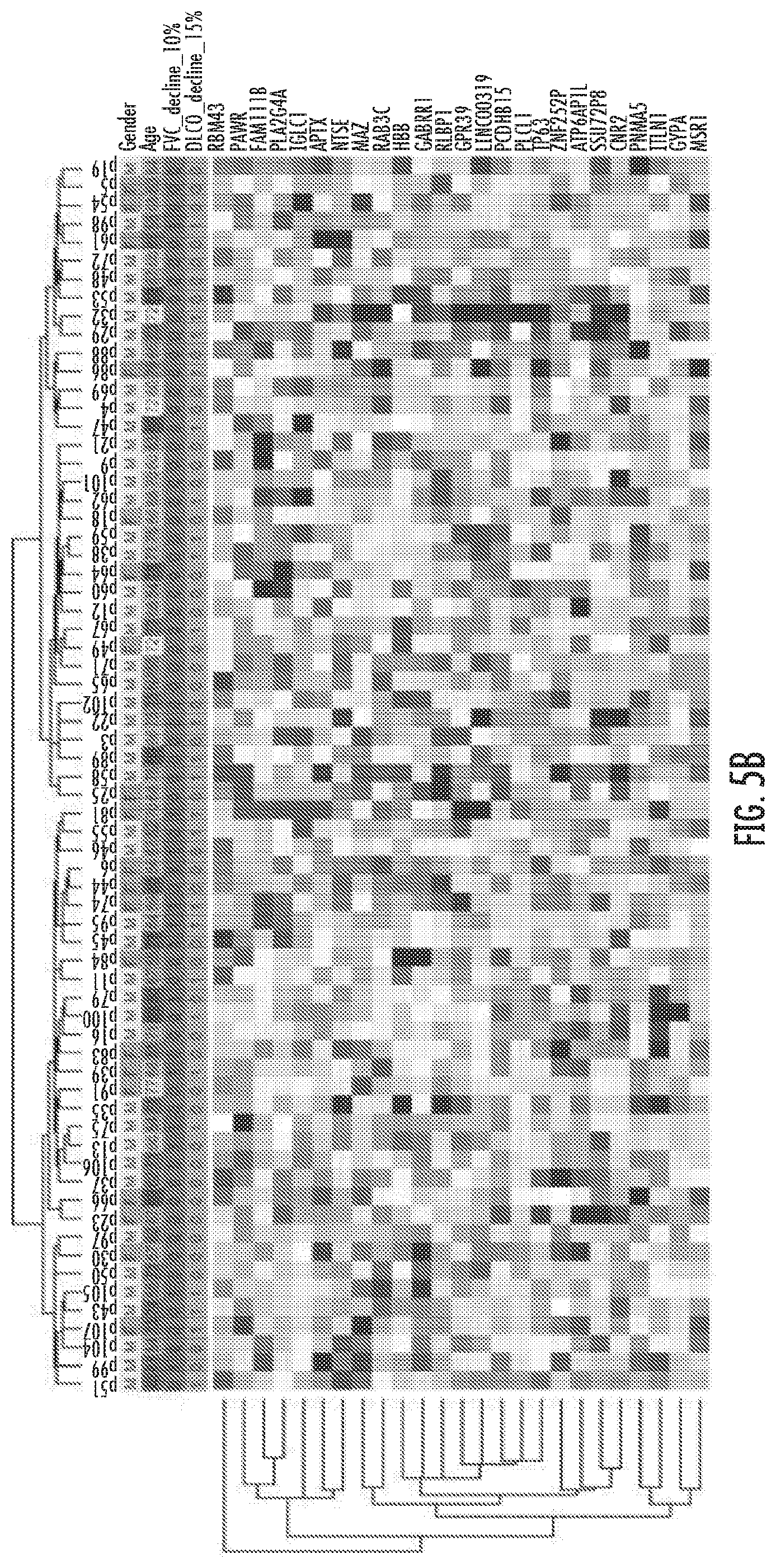 Patent US12480960 Figure 9 – Compositions and methods for predicting lung function decline in idiopathic pulmonary fibrosis