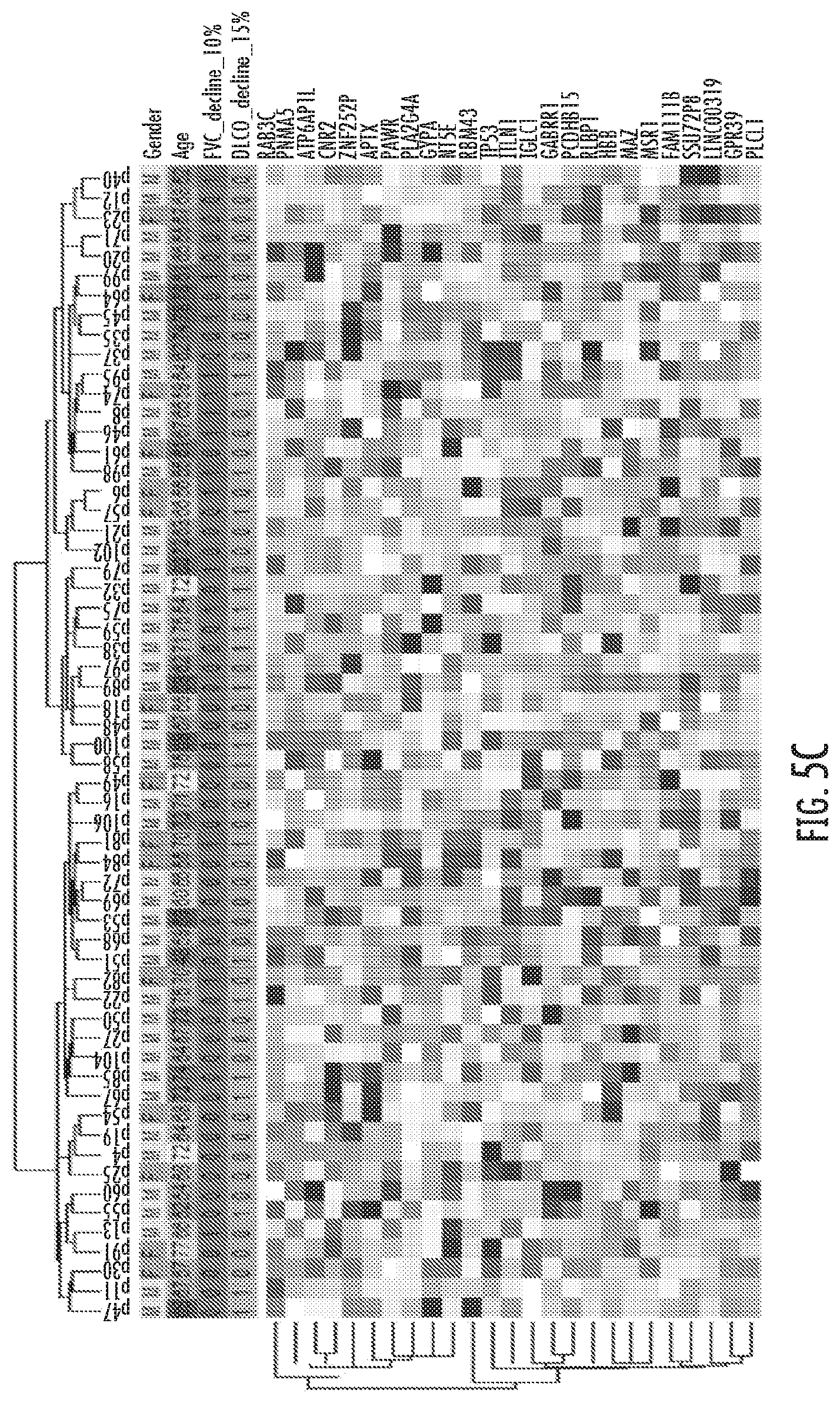 Patent US12480960 Figure 10 – Compositions and methods for predicting lung function decline in idiopathic pulmonary fibrosis