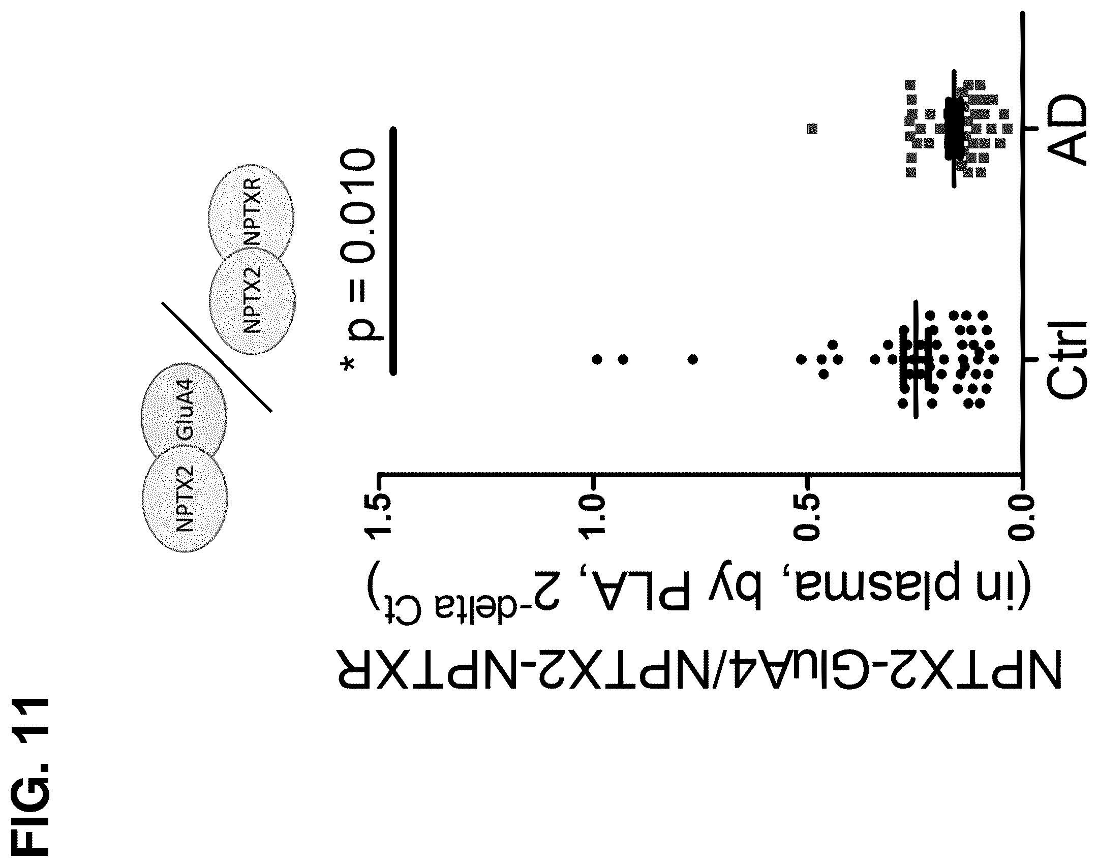 Patent US12480961 Figure 16 – Methods for diagnosing alzheimer's disease and other neurological disorders