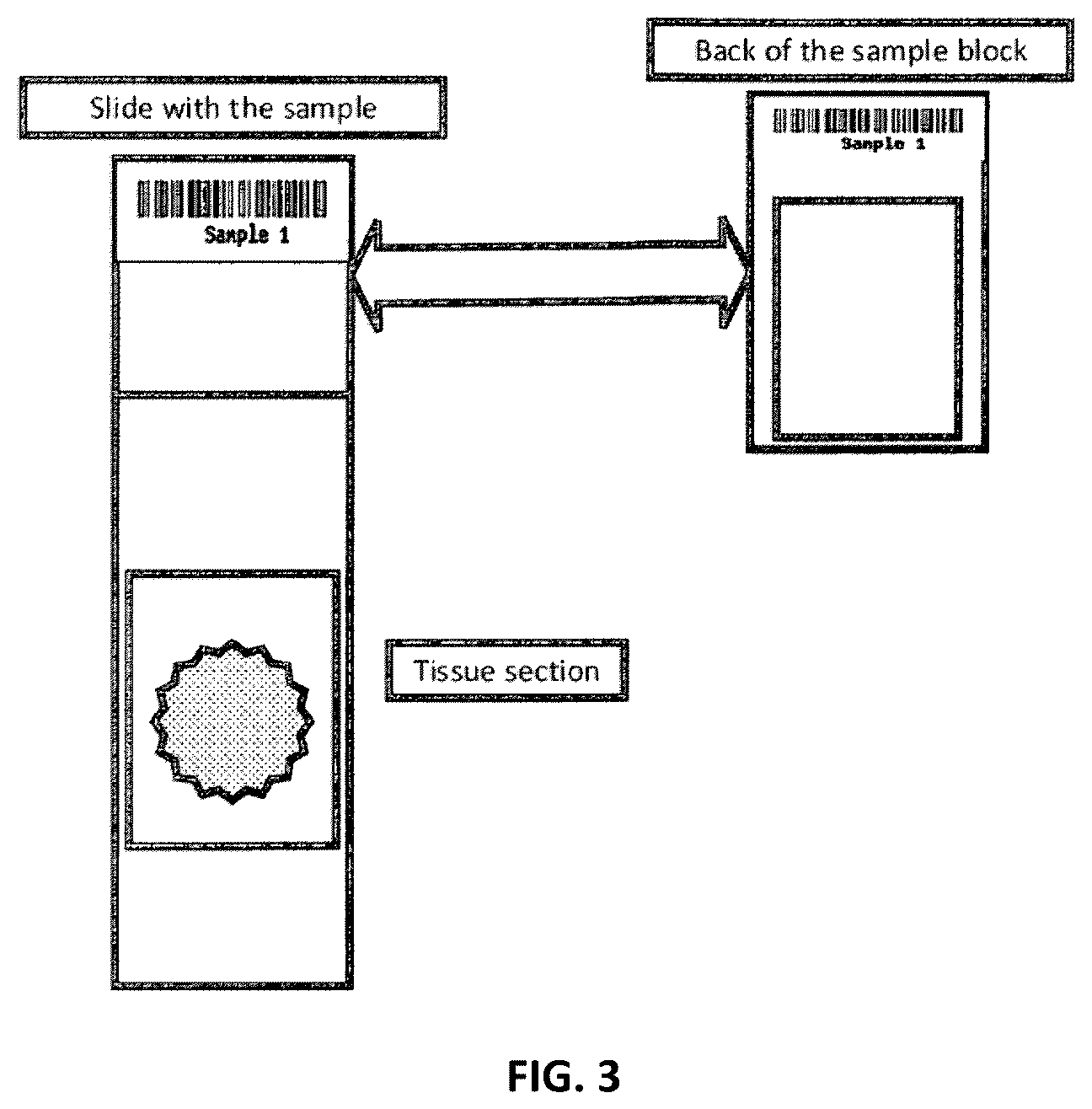 Patent US12480962 Figure 4 – Connected systems for automated tissue section preparation and methods of use thereof