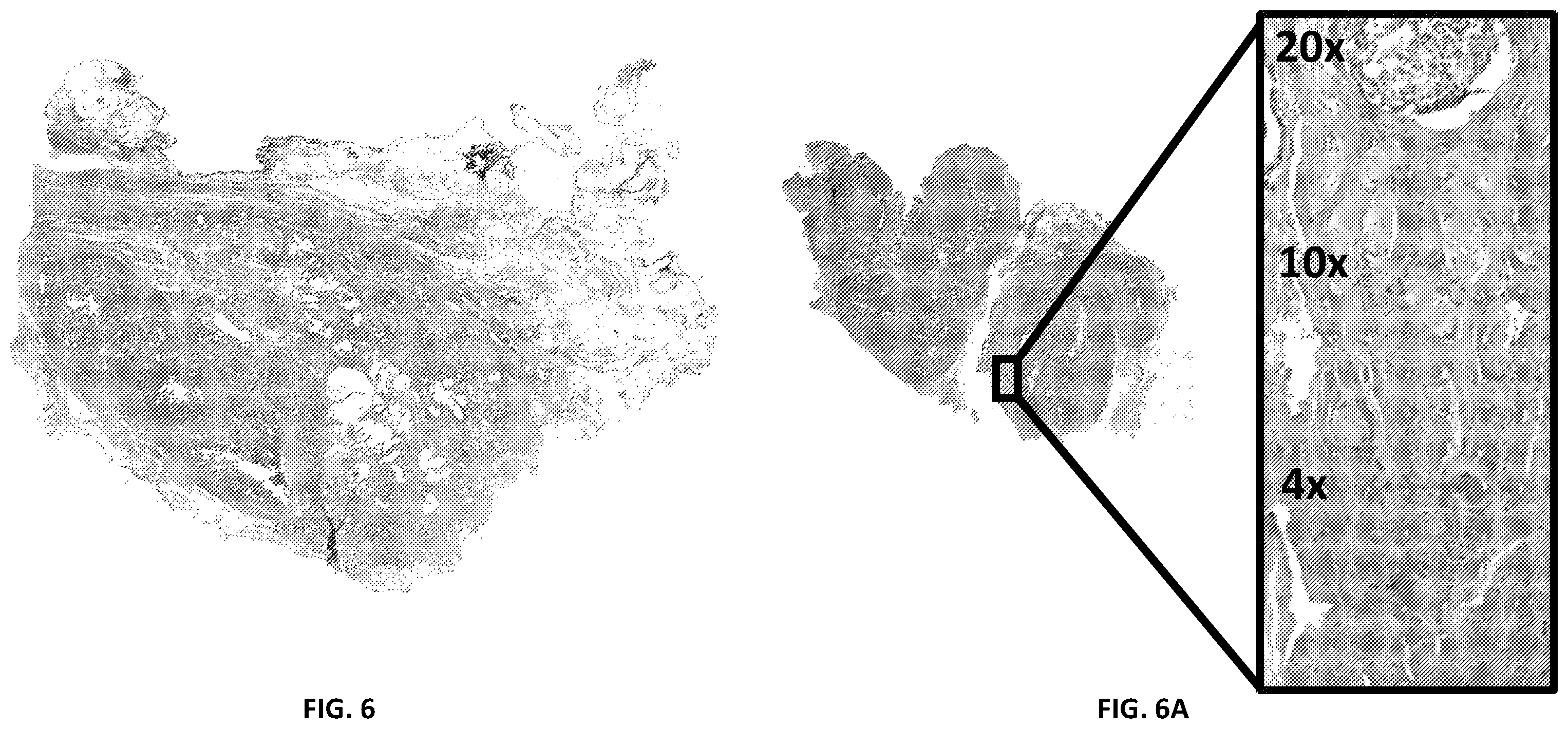 Patent US12488554 Figure 6 – System and method for real-time adapitive resolution microscope slide imaging