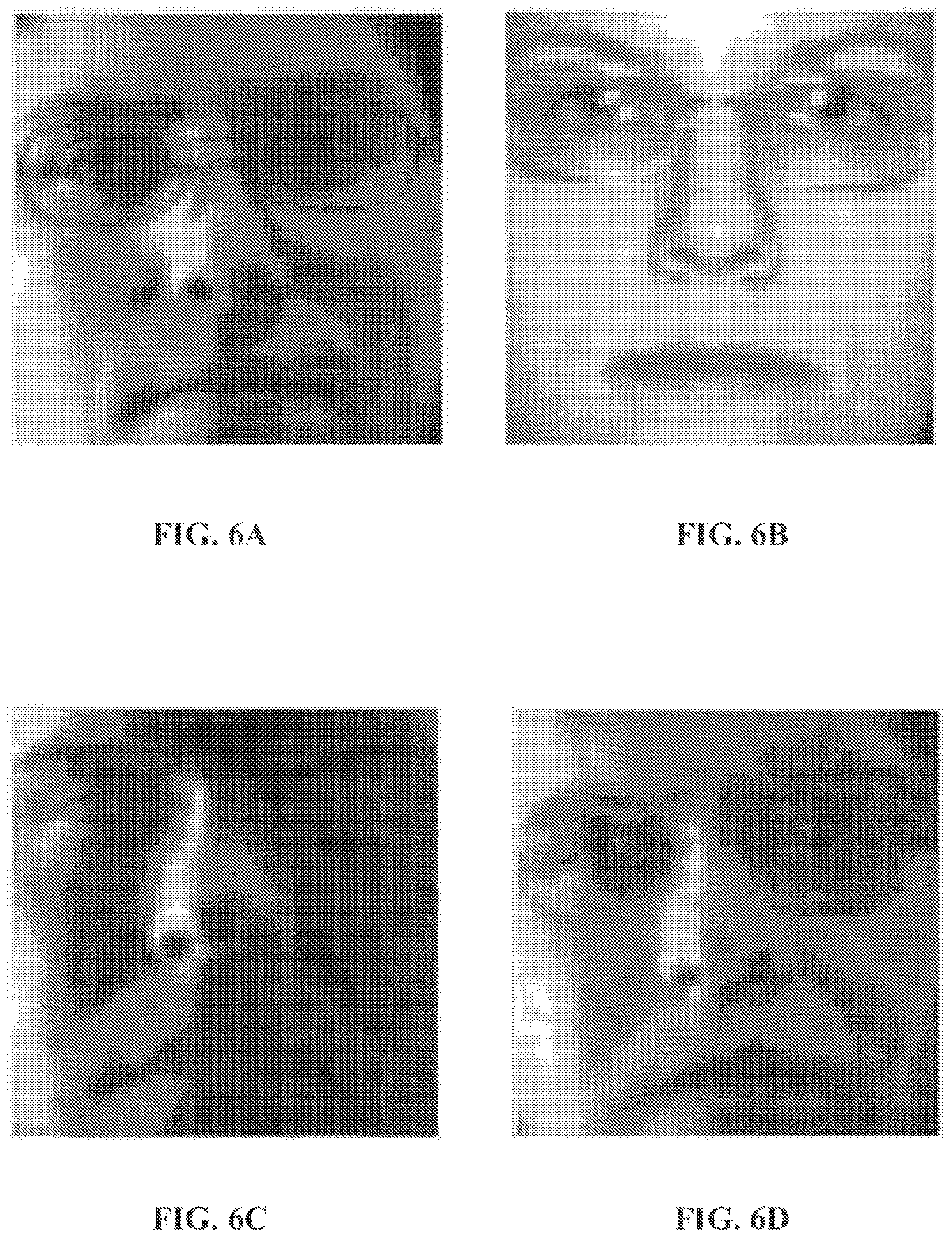Patent US12488602 Figure 7 – Method and apparatus for subject identification