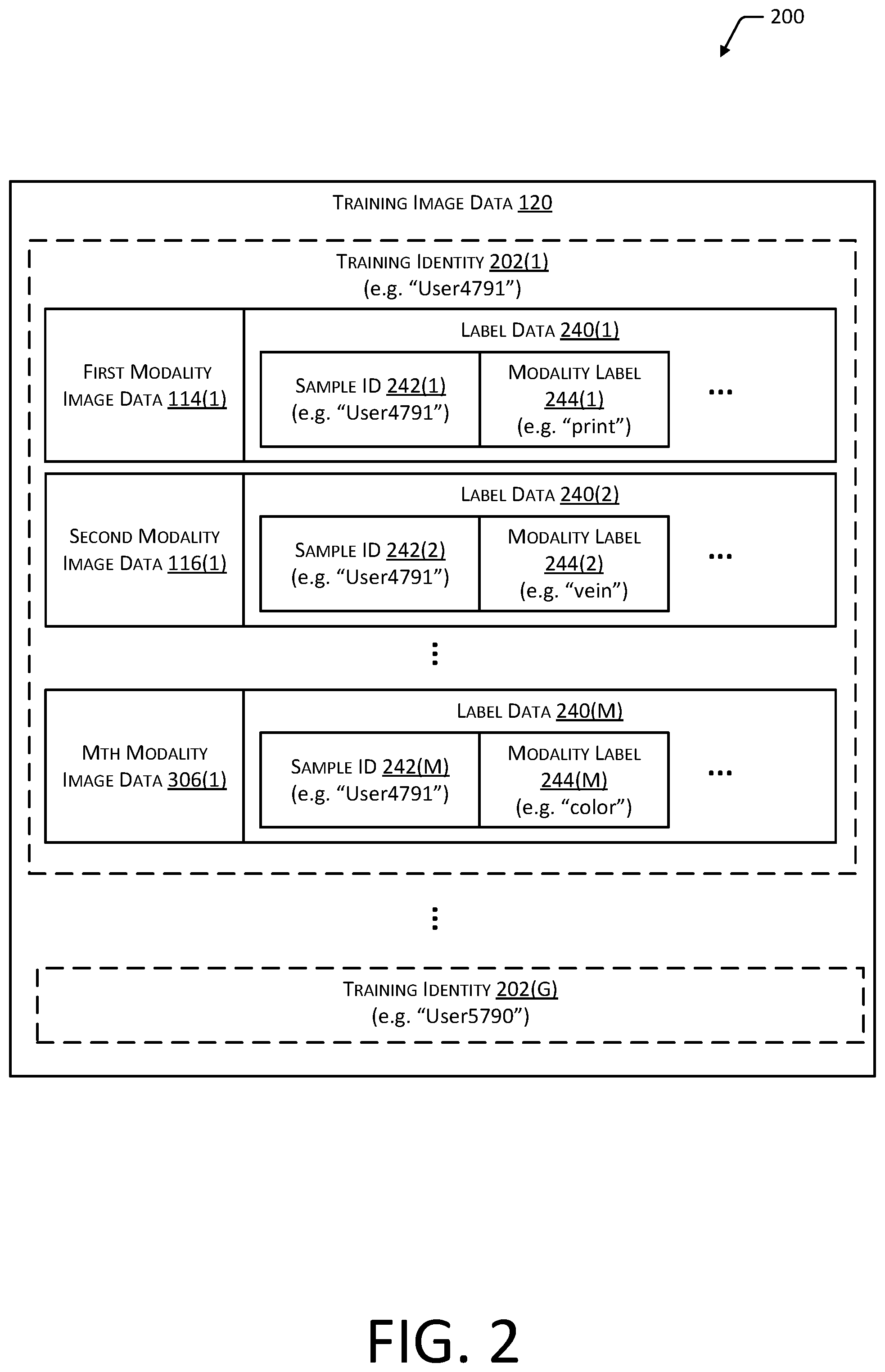Patent US12488618 Figure 2 – Storable representation of biometric data