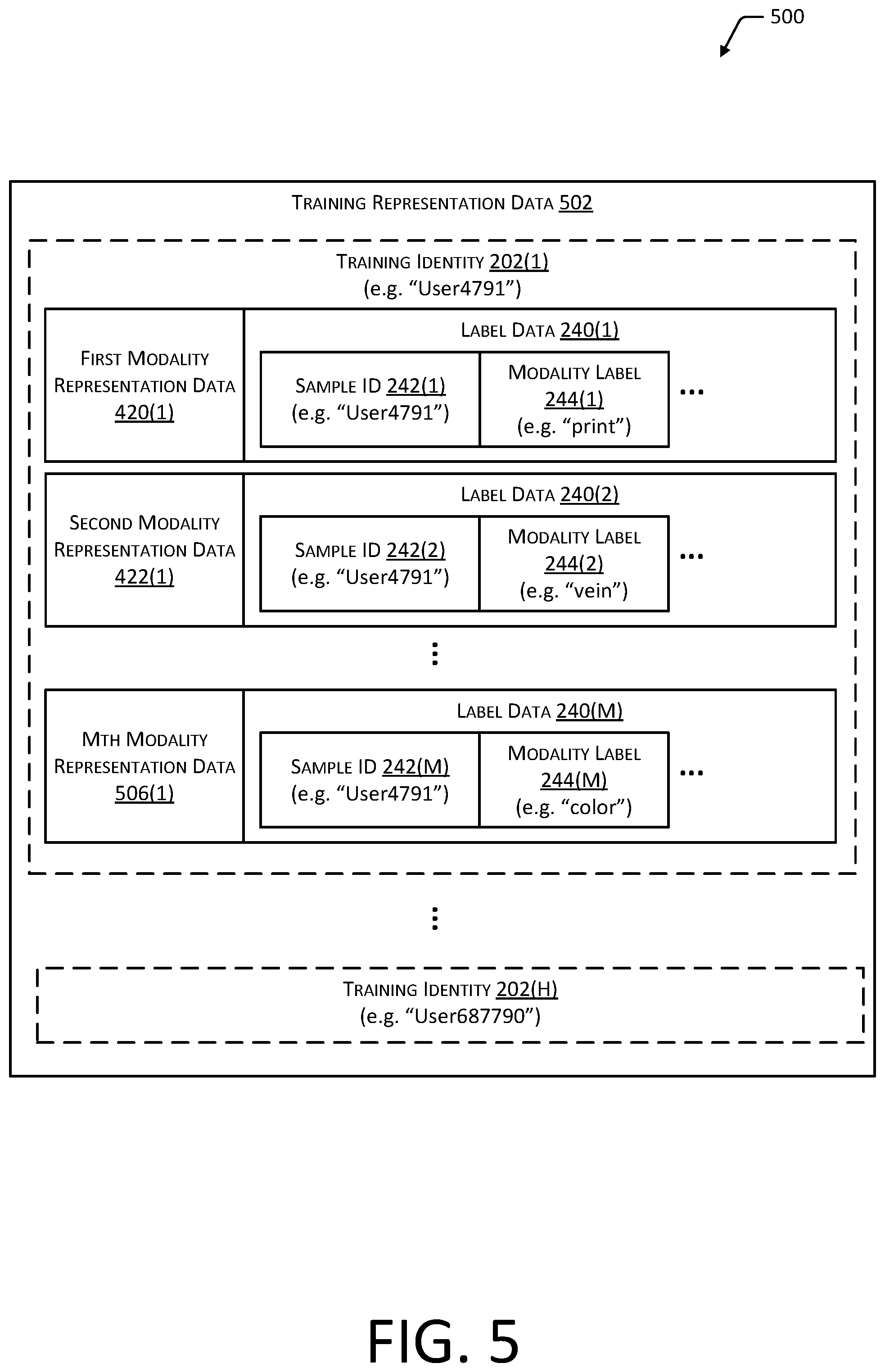 Patent US12488618 Figure 5 – Storable representation of biometric data