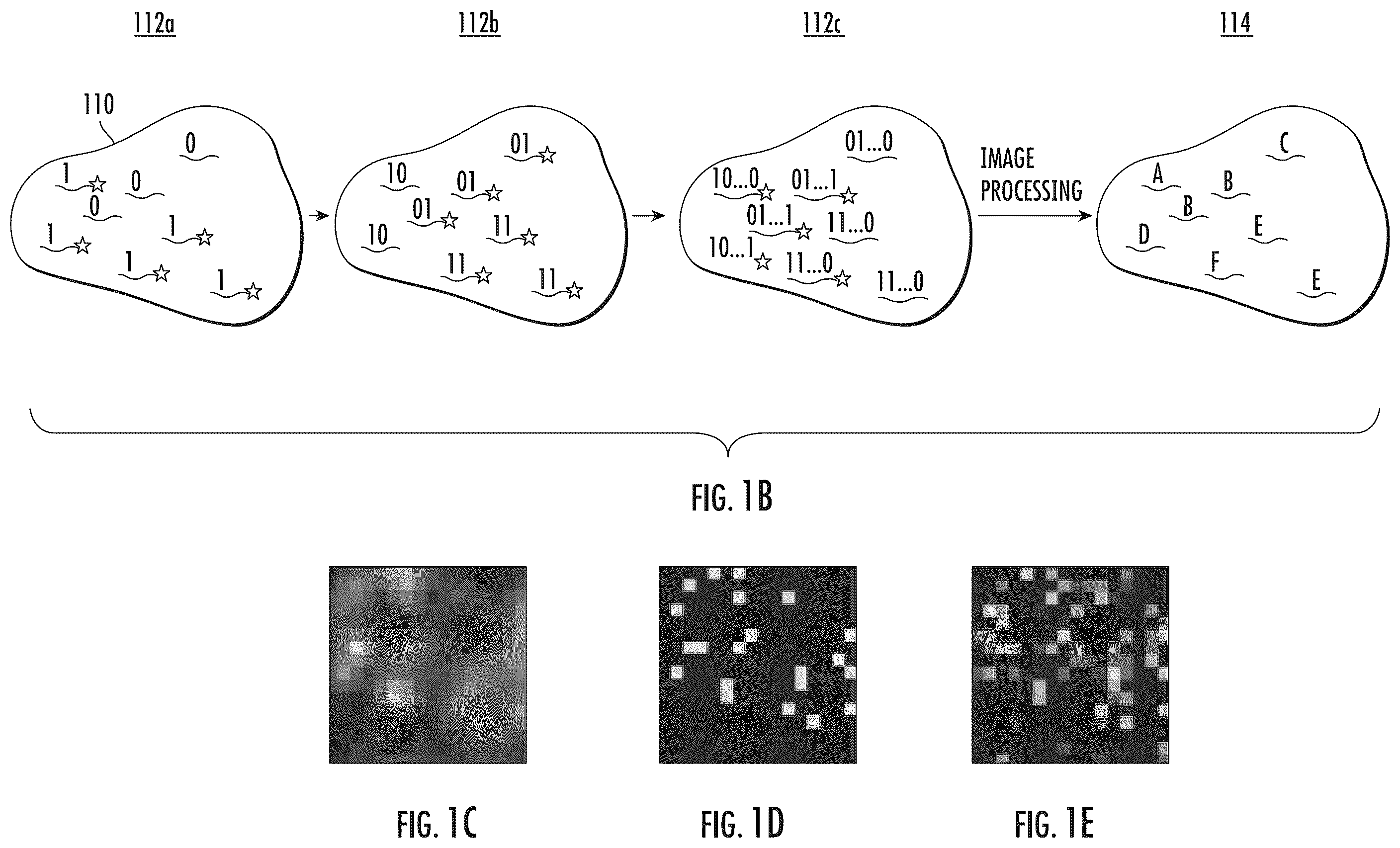 Patent US12488860 Figure 2 – Methods, mediums, and systems for identifying a gene in a flourescence in-situ hybridization experiment
