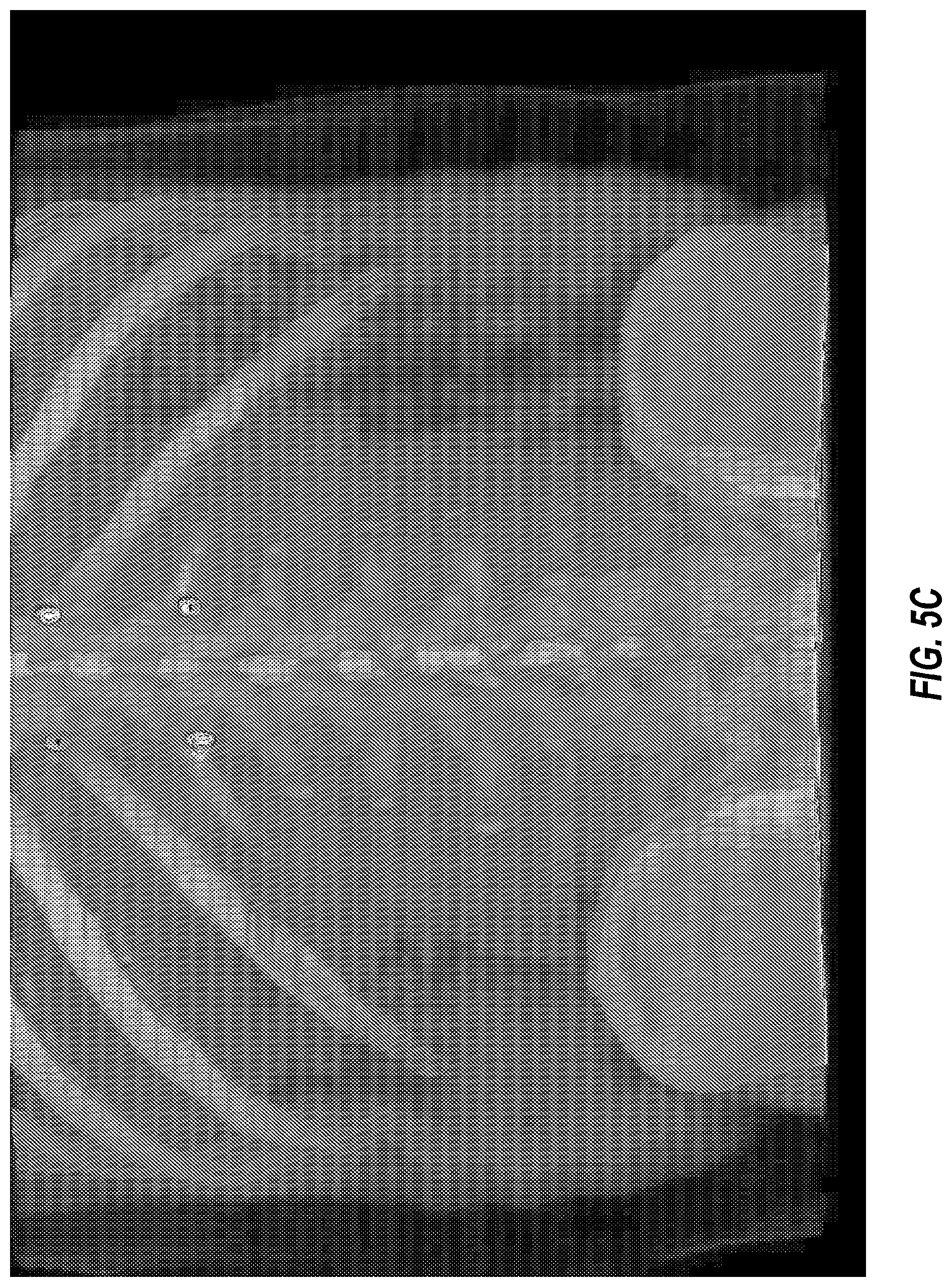 Patent US12488878 Figure 7 – Aligning image data of a patient with actual views of the patient using an optical code affixed to the patient
