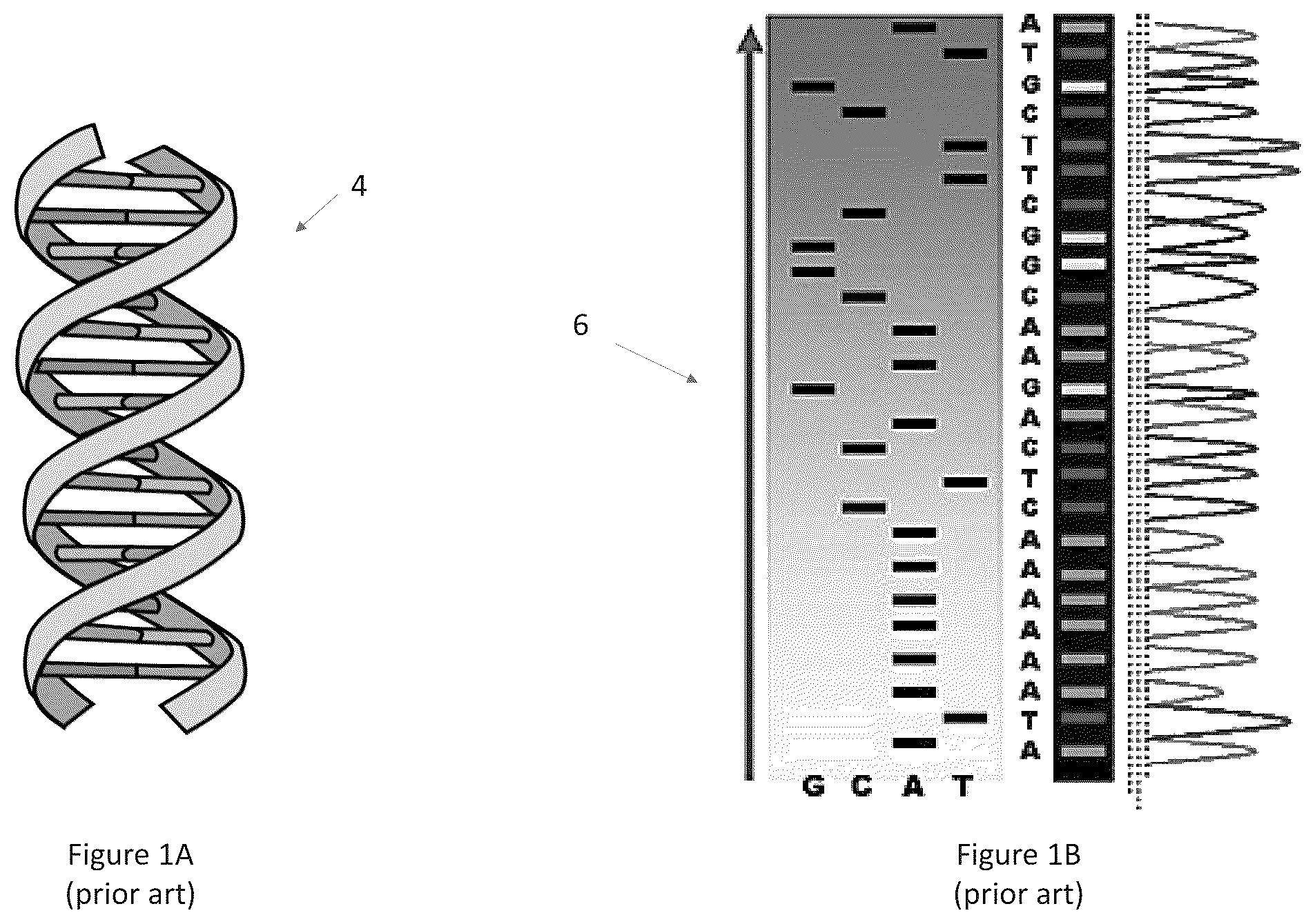 Patent US12488882 Figure 1 – System and method for alerting providers to ineffective or under effective treatments based on genetic efficacy testing results
