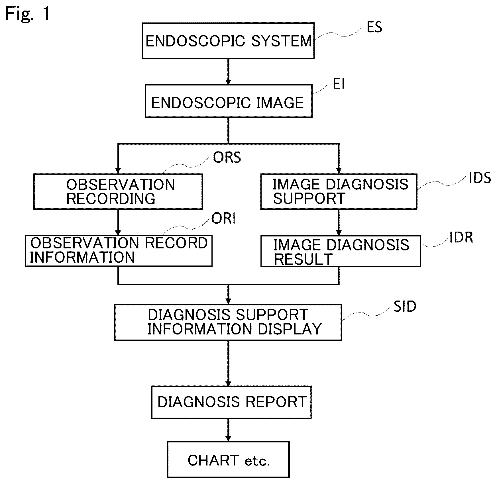 Patent US12488896 — Method and system for endoscopic diagnosis support — Figure 1
