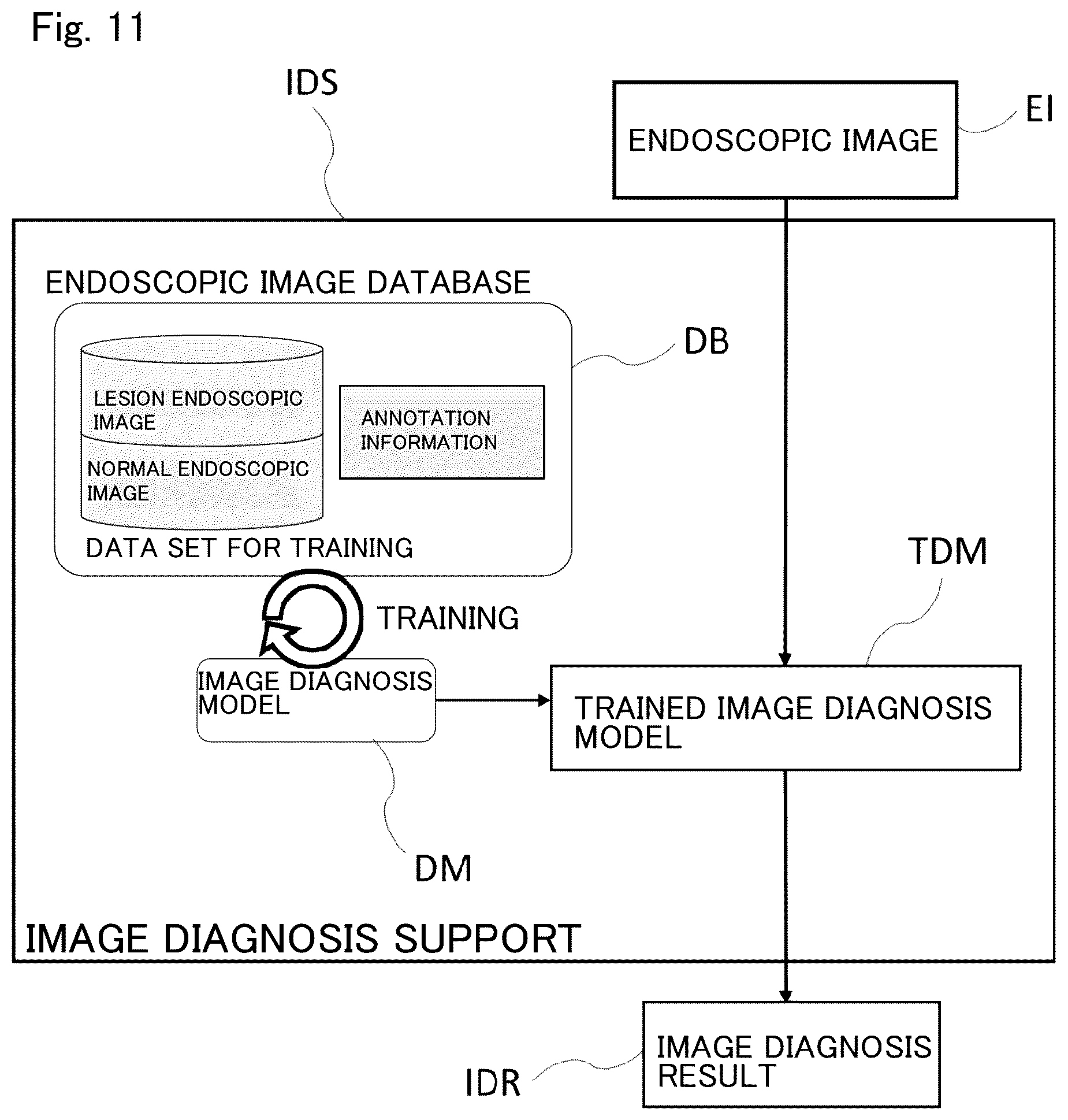 Patent US12488896 Figure 12 – Method and system for endoscopic diagnosis support