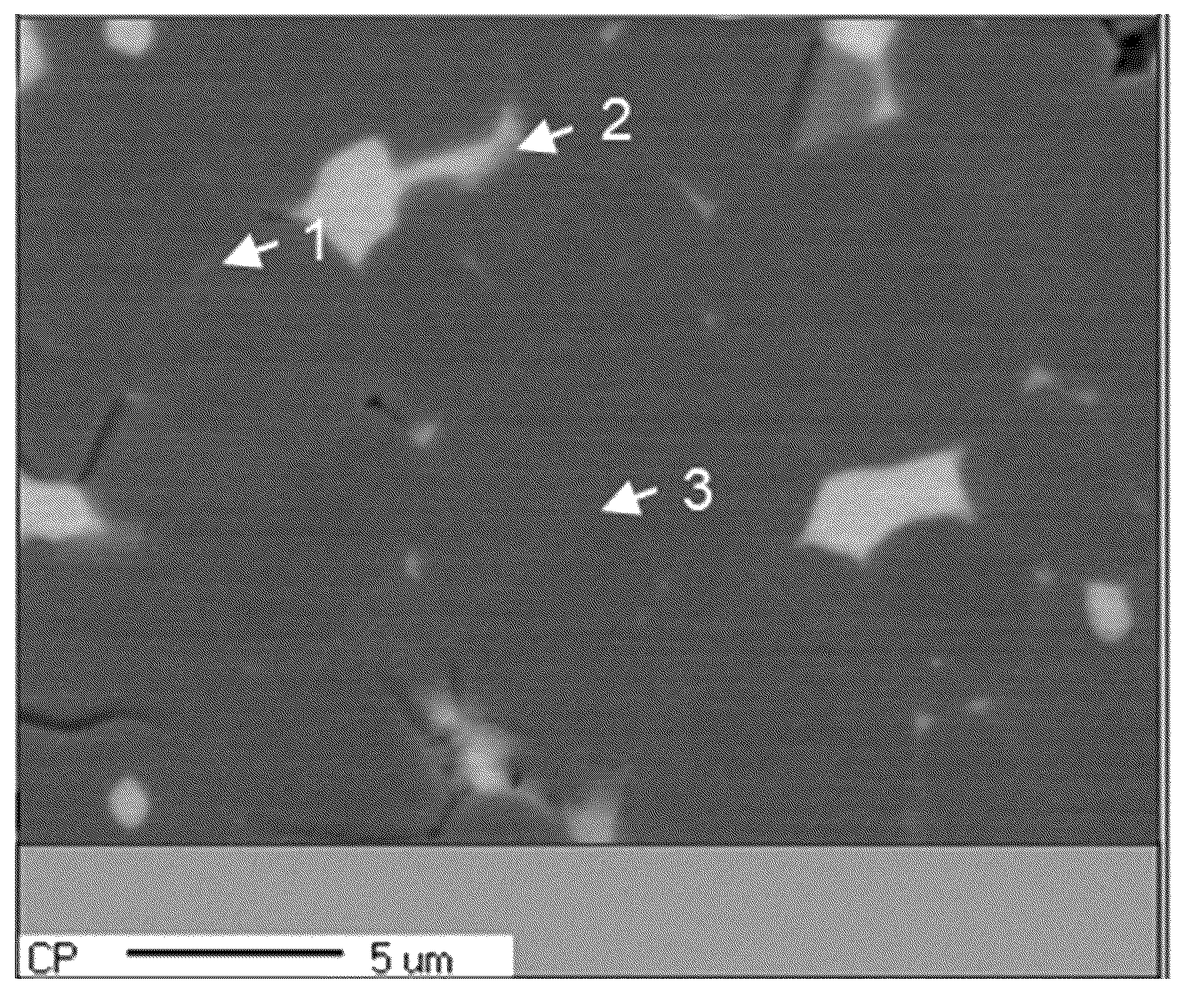 Patent US12488918 — Neodymium-iron-boron magnet material, raw material composition preparation method, and application — Figure 1