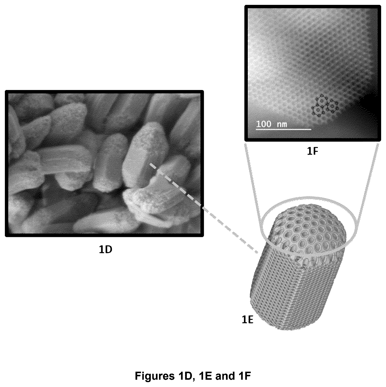Patent US12492129 Figure 2 – Highly structured porous silica materials and biological uses thereof