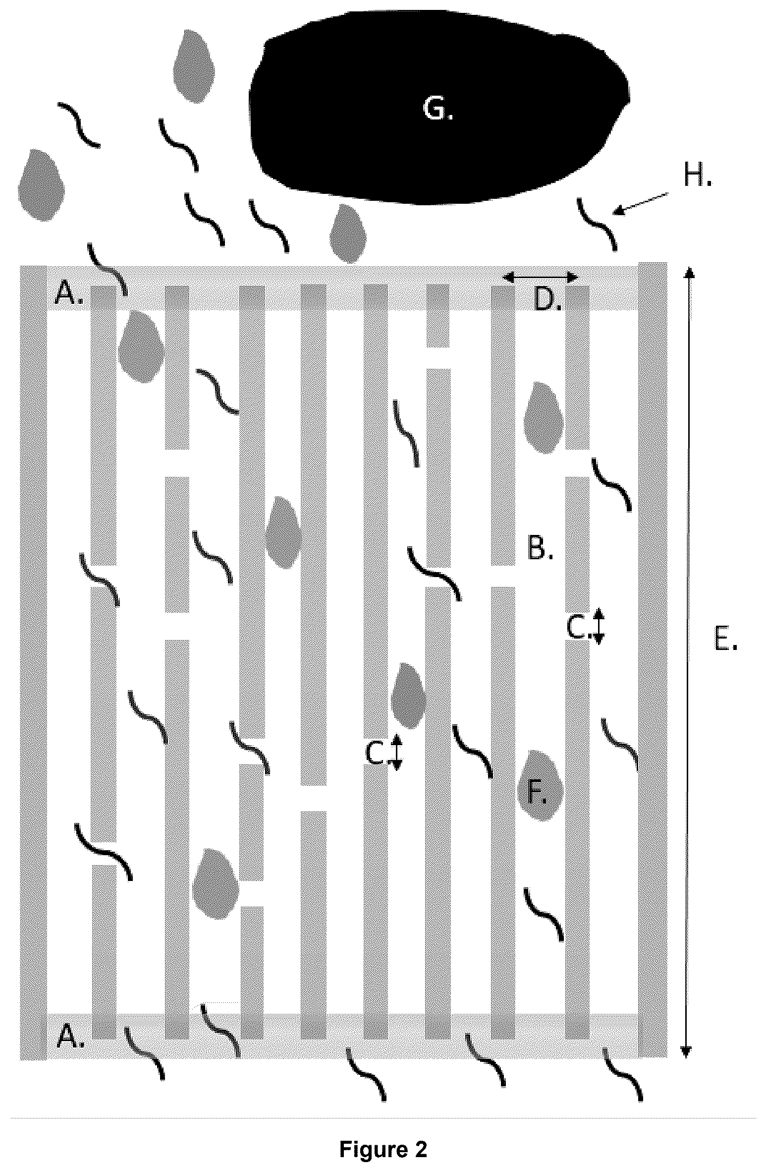 Patent US12492129 Figure 3 – Highly structured porous silica materials and biological uses thereof