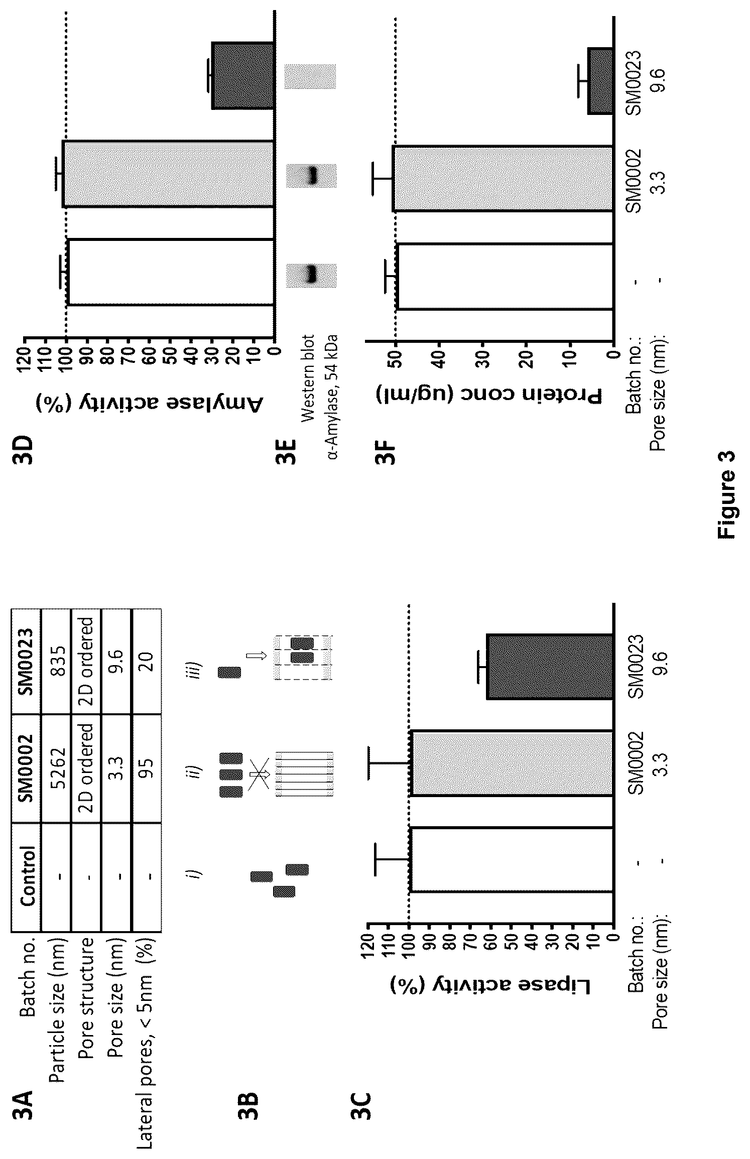 Patent US12492129 Figure 4 – Highly structured porous silica materials and biological uses thereof