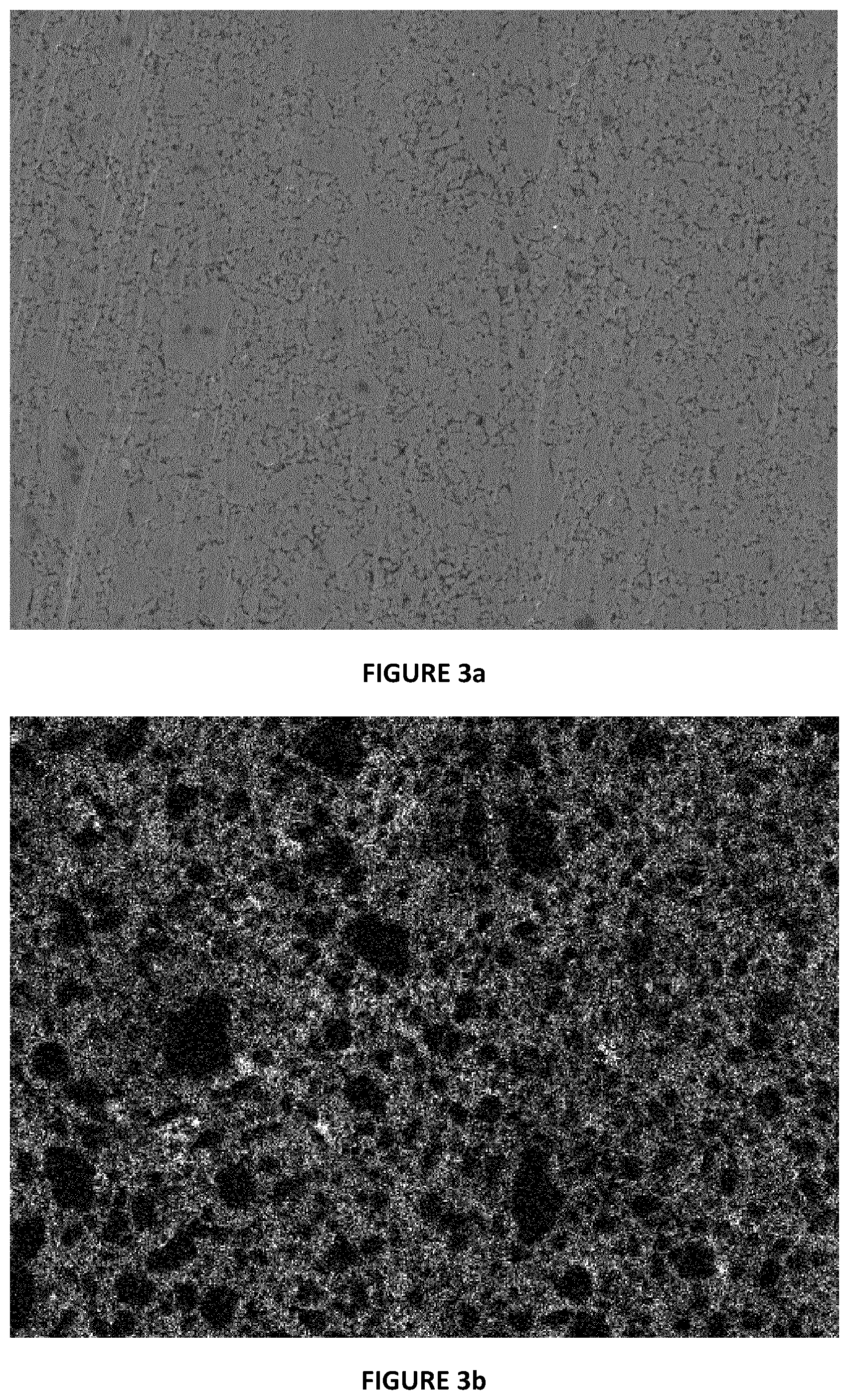 Patent US12492150 Figure 2 – Magnesiumdiboride powder-in-tube wire