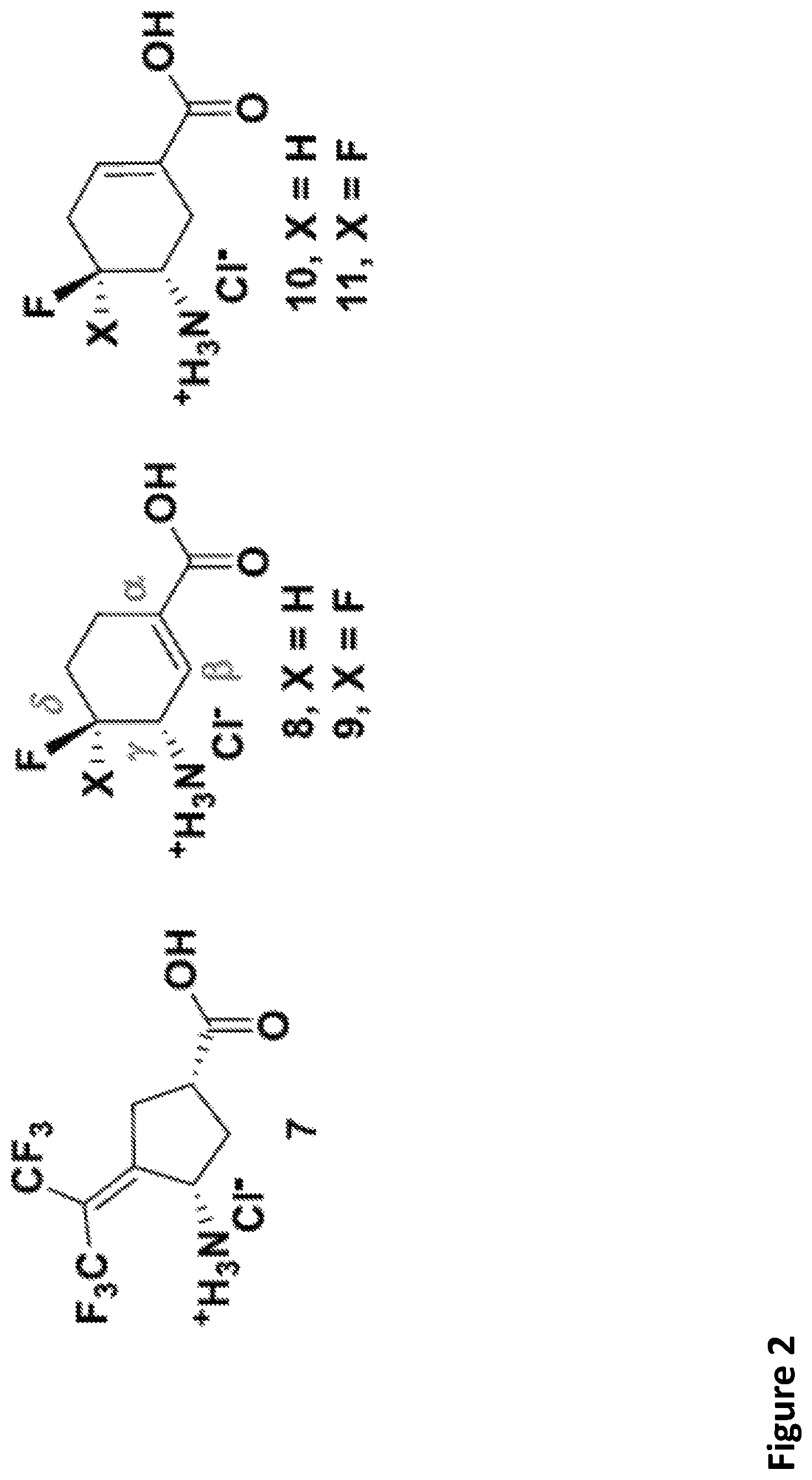 Patent US12492164 Figure 2 – Fluorine substituted cyclohexene analogues of gamma-aminobutyric acid (GABA)