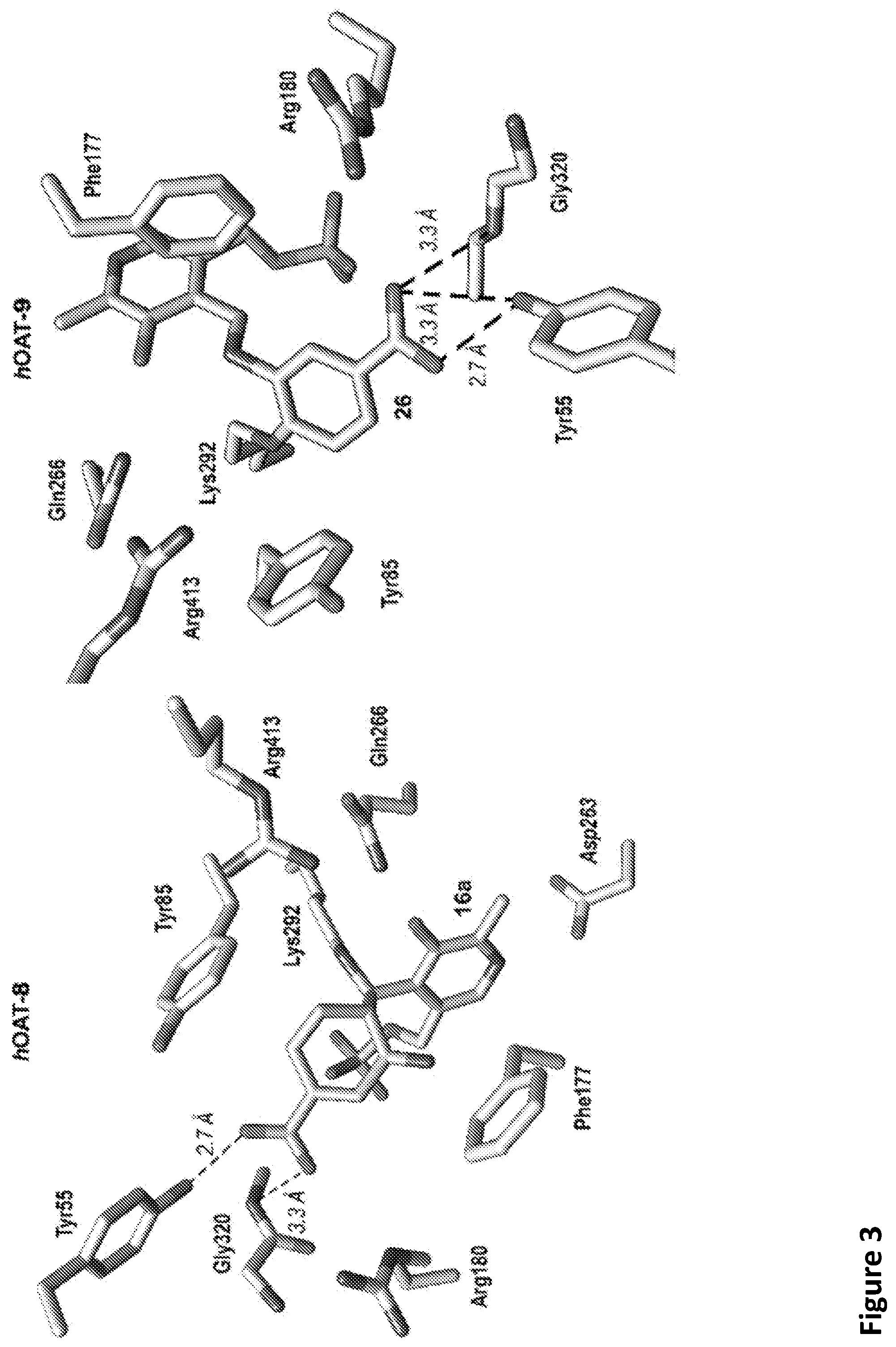 Patent US12492164 Figure 3 – Fluorine substituted cyclohexene analogues of gamma-aminobutyric acid (GABA)