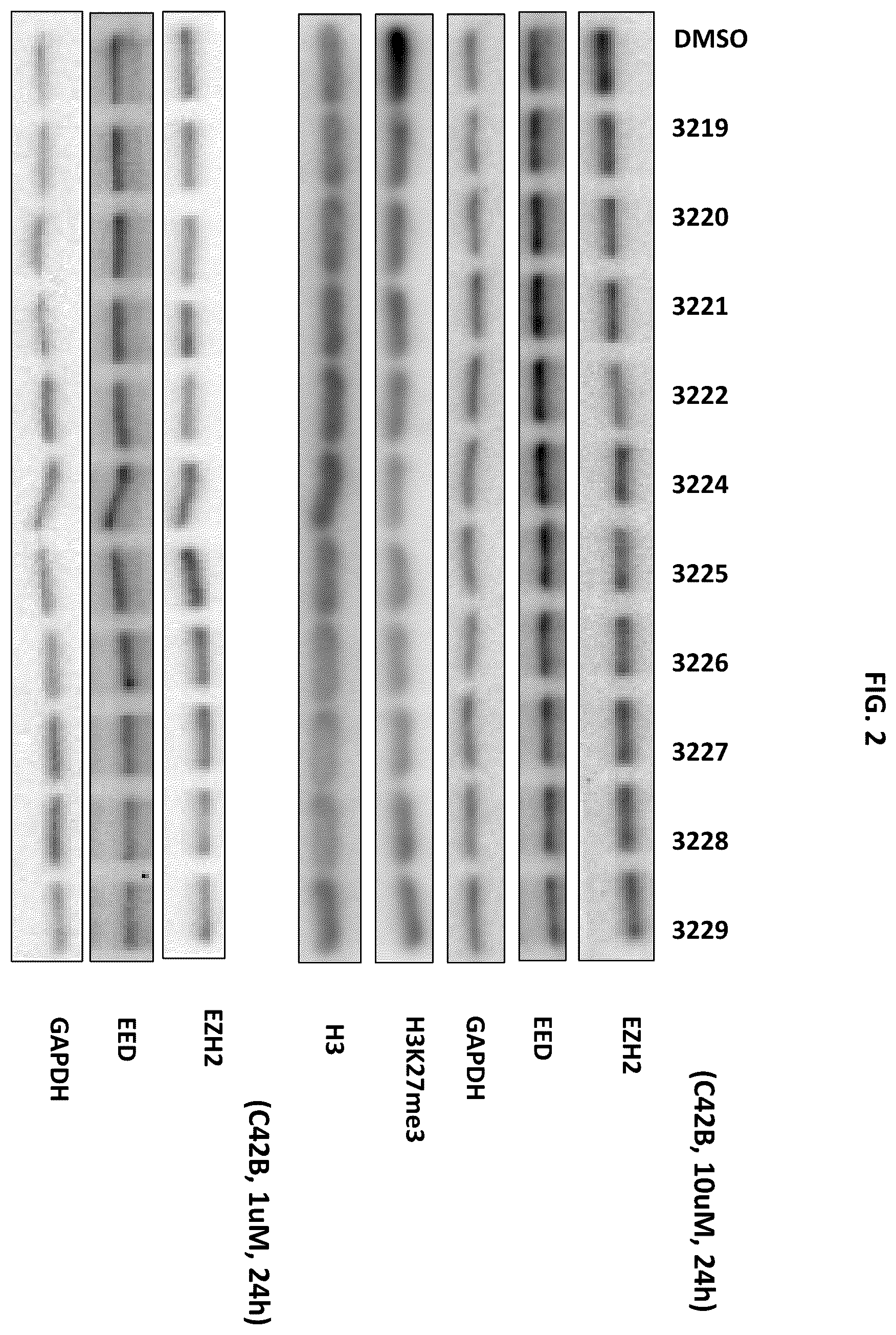 Patent US12492209 Figure 2 – Substituted [1,2,4]triazolo[4,3-c]pyrimidines that induce degradation of embryonic ectoderm development (EED) protein