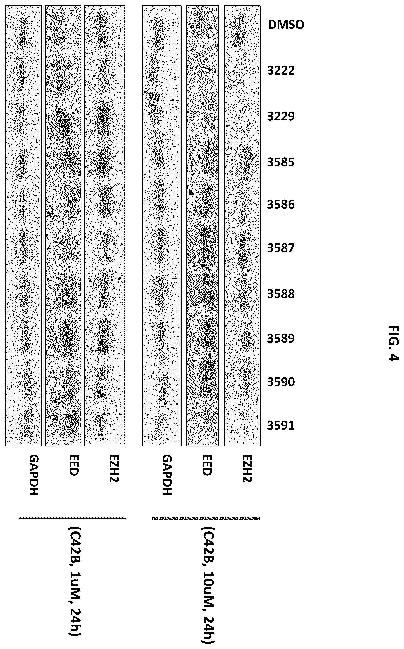Patent US12492209 Figure 4 – Substituted [1,2,4]triazolo[4,3-c]pyrimidines that induce degradation of embryonic ectoderm development (EED) protein
