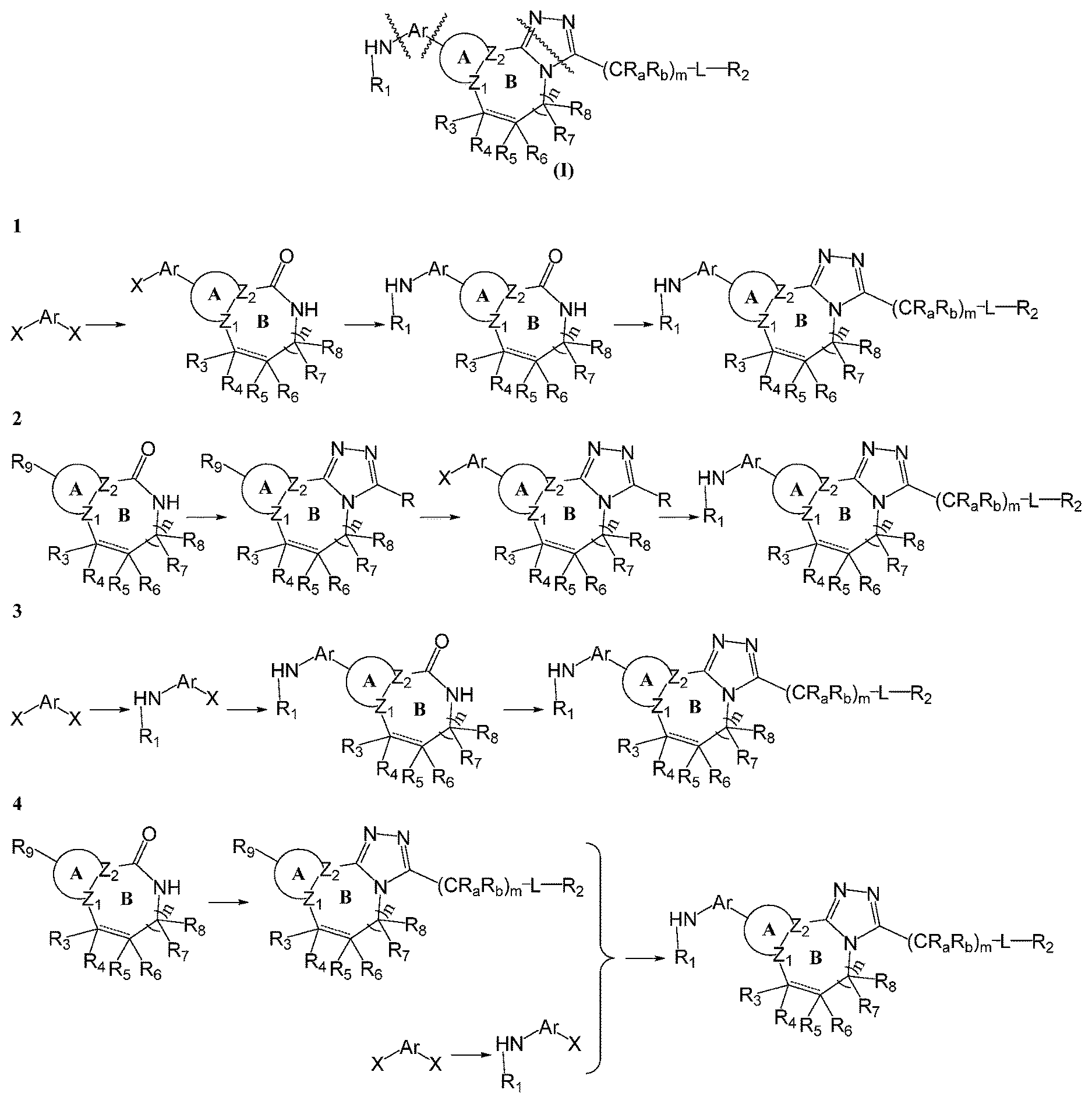 Patent US12492210 Figure 1 – Tricyclic compounds and their use