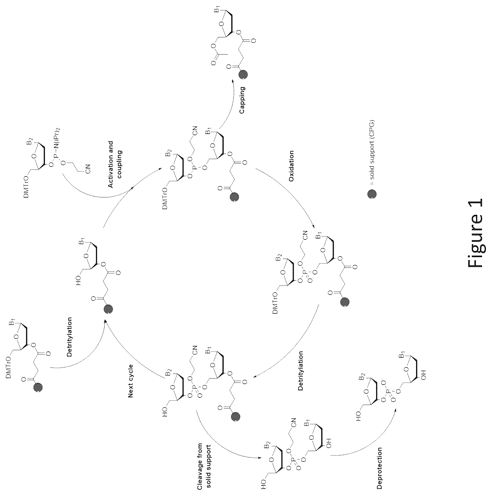 Patent US12492220 Figure 1 – Method for the preparation of oligonucleotides