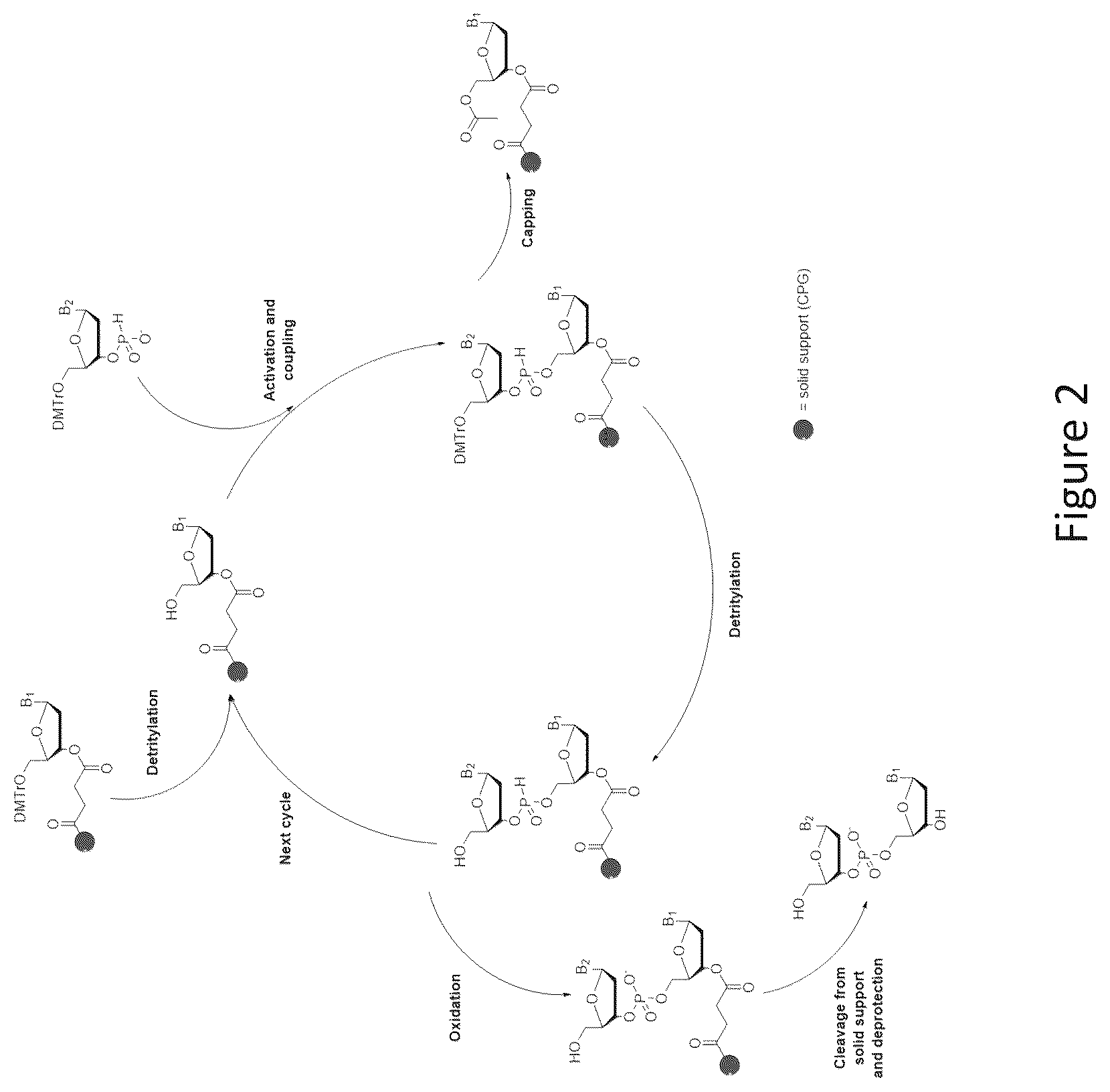 Patent US12492220 Figure 2 – Method for the preparation of oligonucleotides