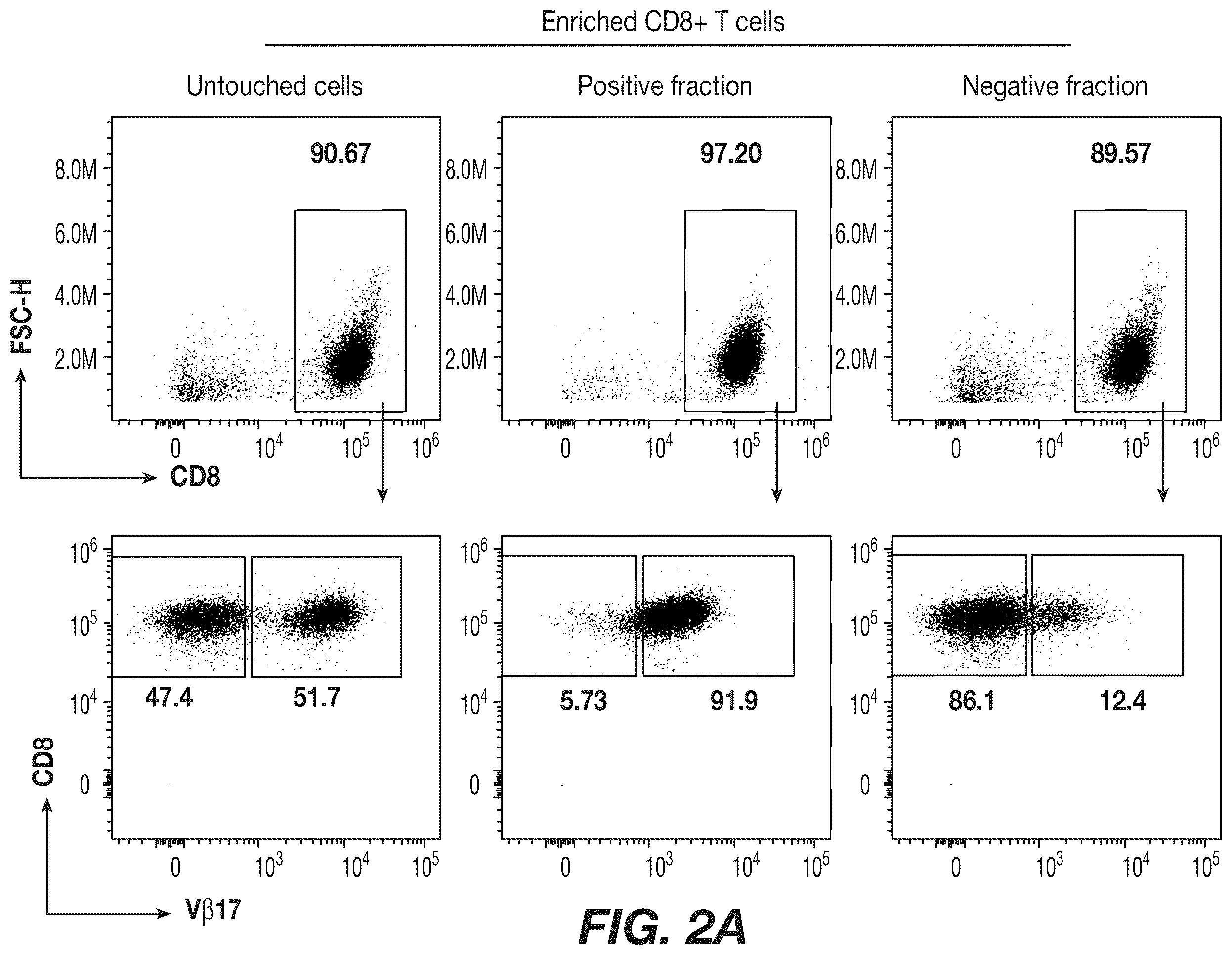 Patent US12492226 Figure 2 – Materials and methods for producing bioengineered virus specific lymphocytes