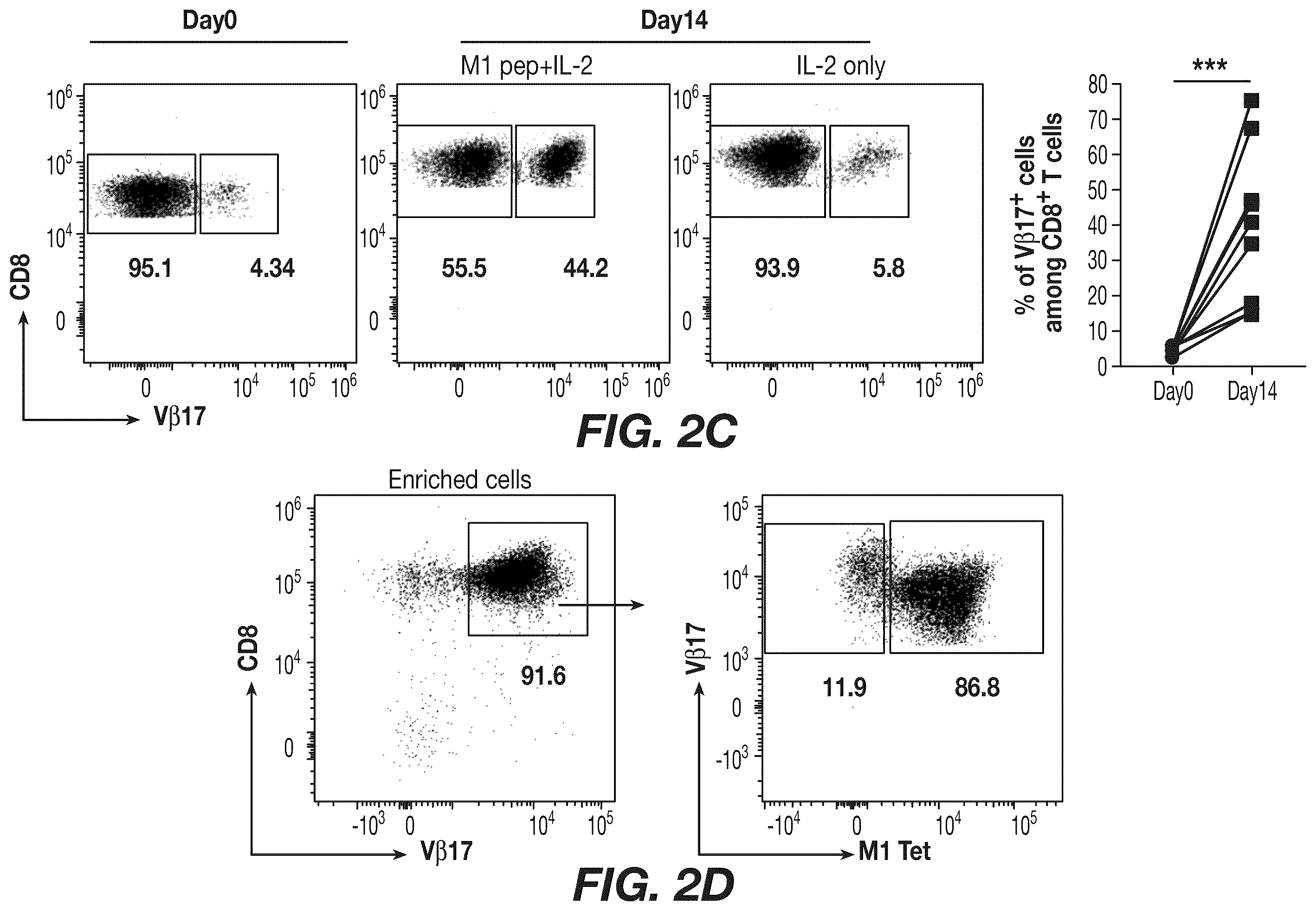 Patent US12492226 Figure 4 – Materials and methods for producing bioengineered virus specific lymphocytes