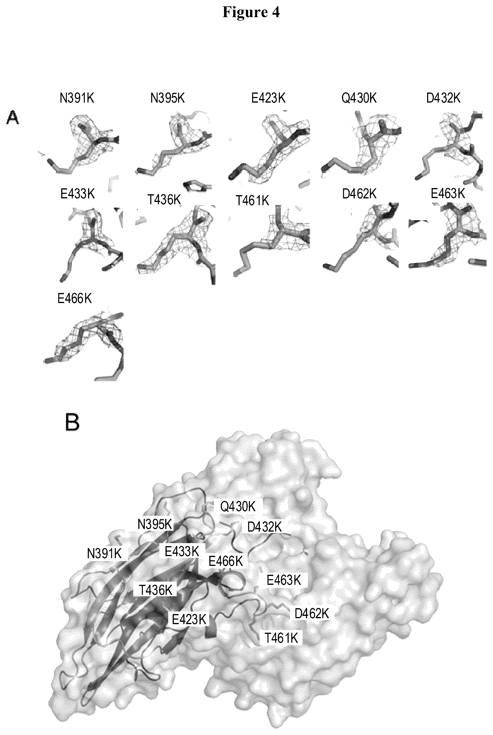 Patent US12492227 Figure 4 – Engineered cry proteins for delivery of therapeutics
