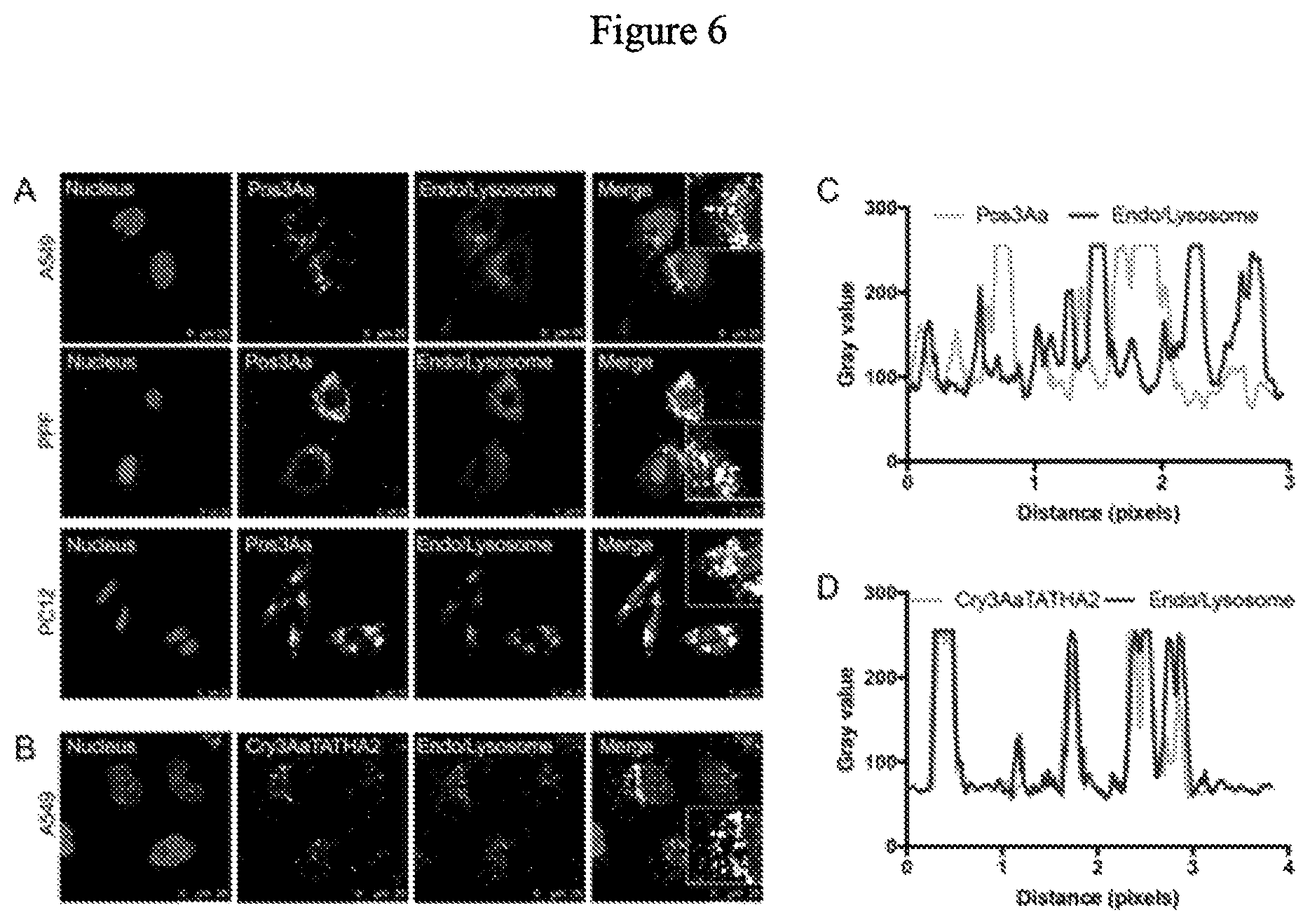 Patent US12492227 Figure 6 – Engineered cry proteins for delivery of therapeutics