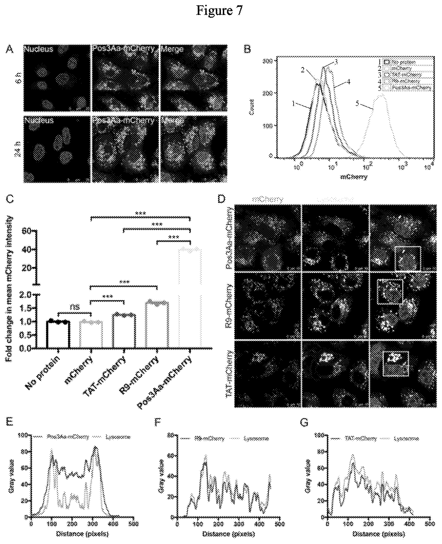 Patent US12492227 Figure 7 – Engineered cry proteins for delivery of therapeutics