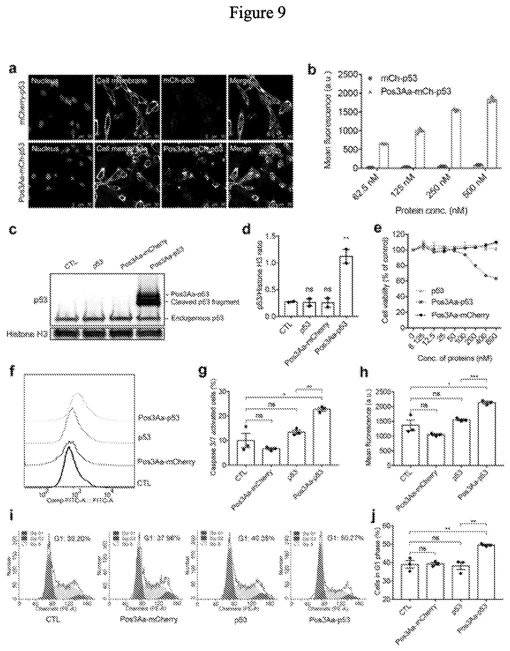Patent US12492227 Figure 9 – Engineered cry proteins for delivery of therapeutics