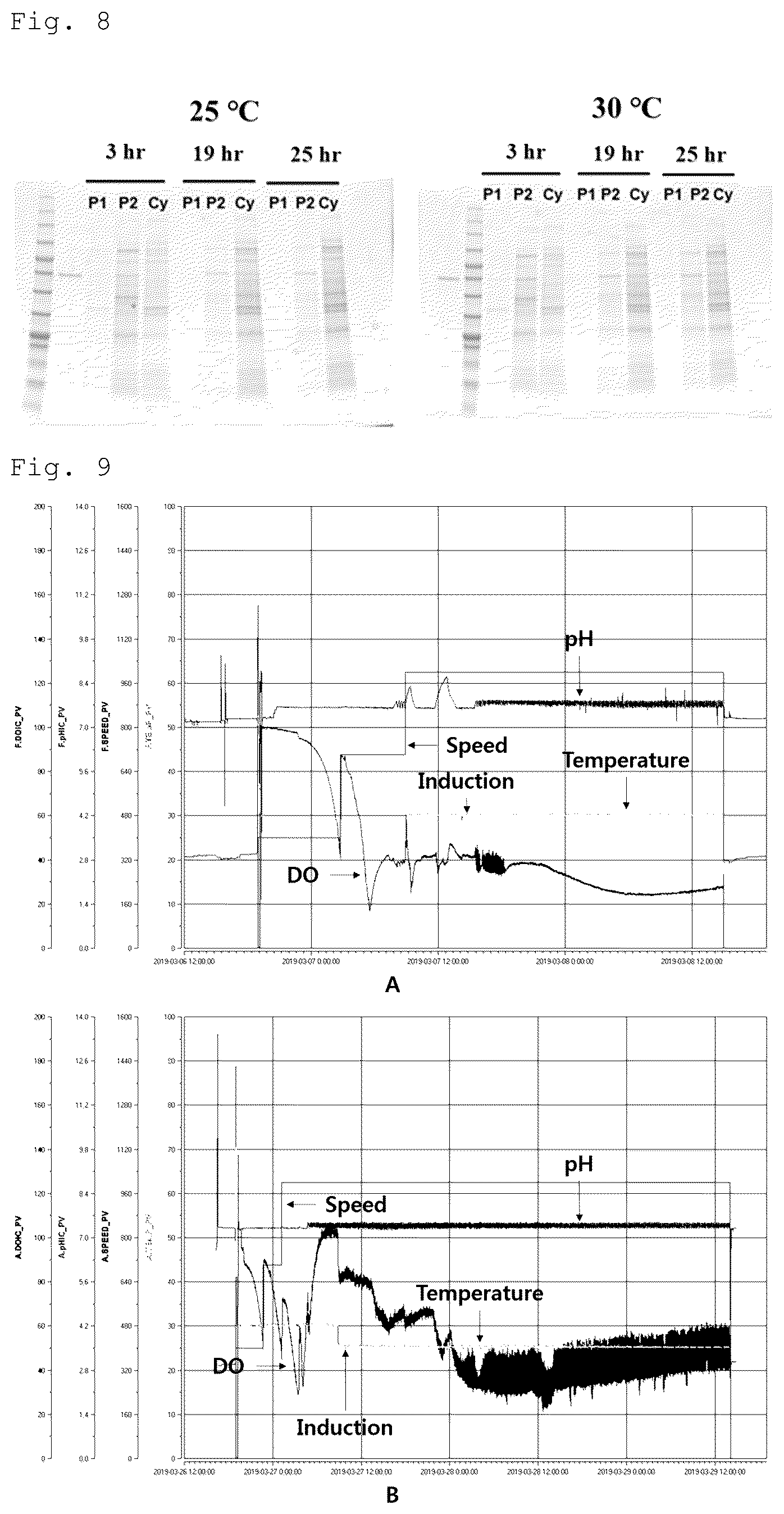 Patent US12492228 Figure 6 – CRM197 protein expression method
