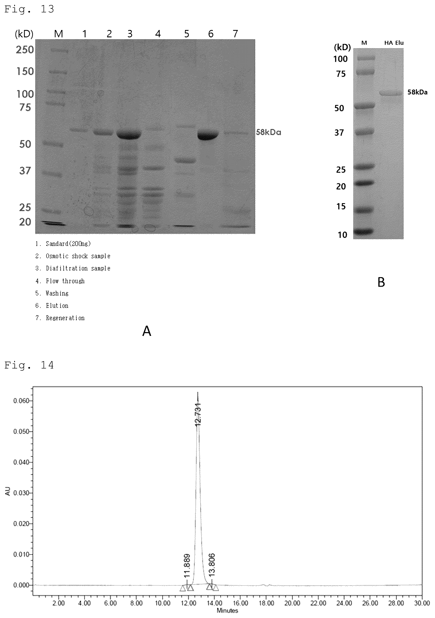 Patent US12492228 Figure 10 – CRM197 protein expression method