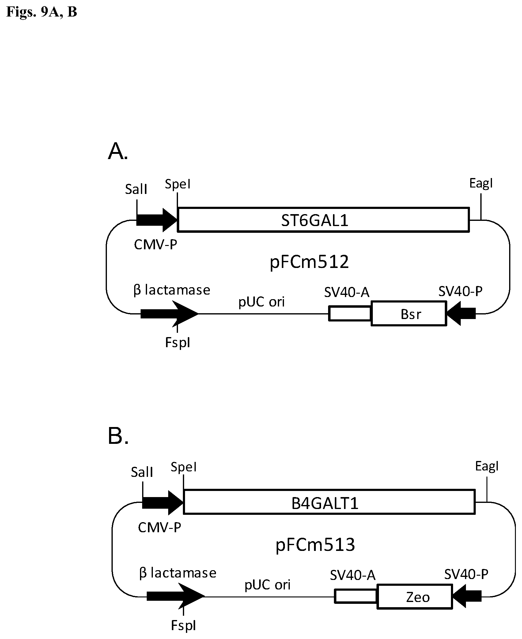 Patent US12492231 Figure 9 – Multimeric hybrid Fc proteins for replacement of IVIG