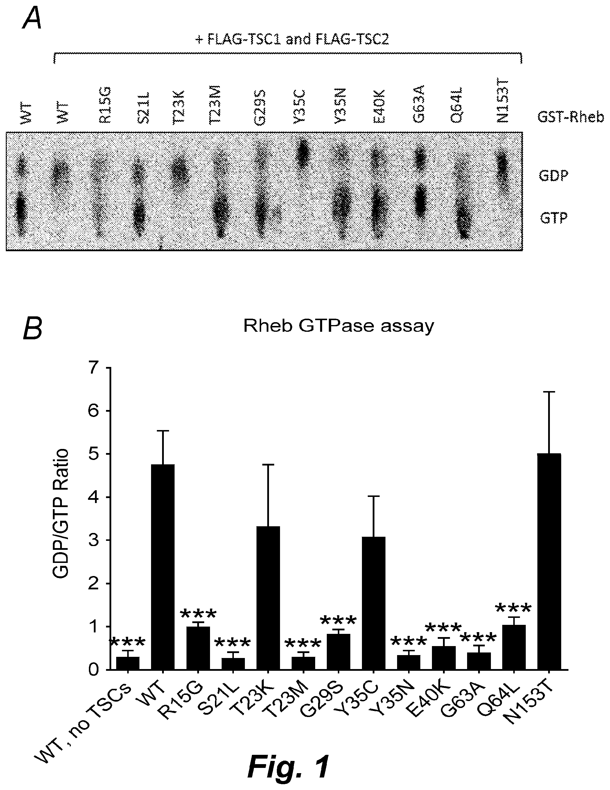 Patent US12492232 — Methods for producing proteins — Figure 1