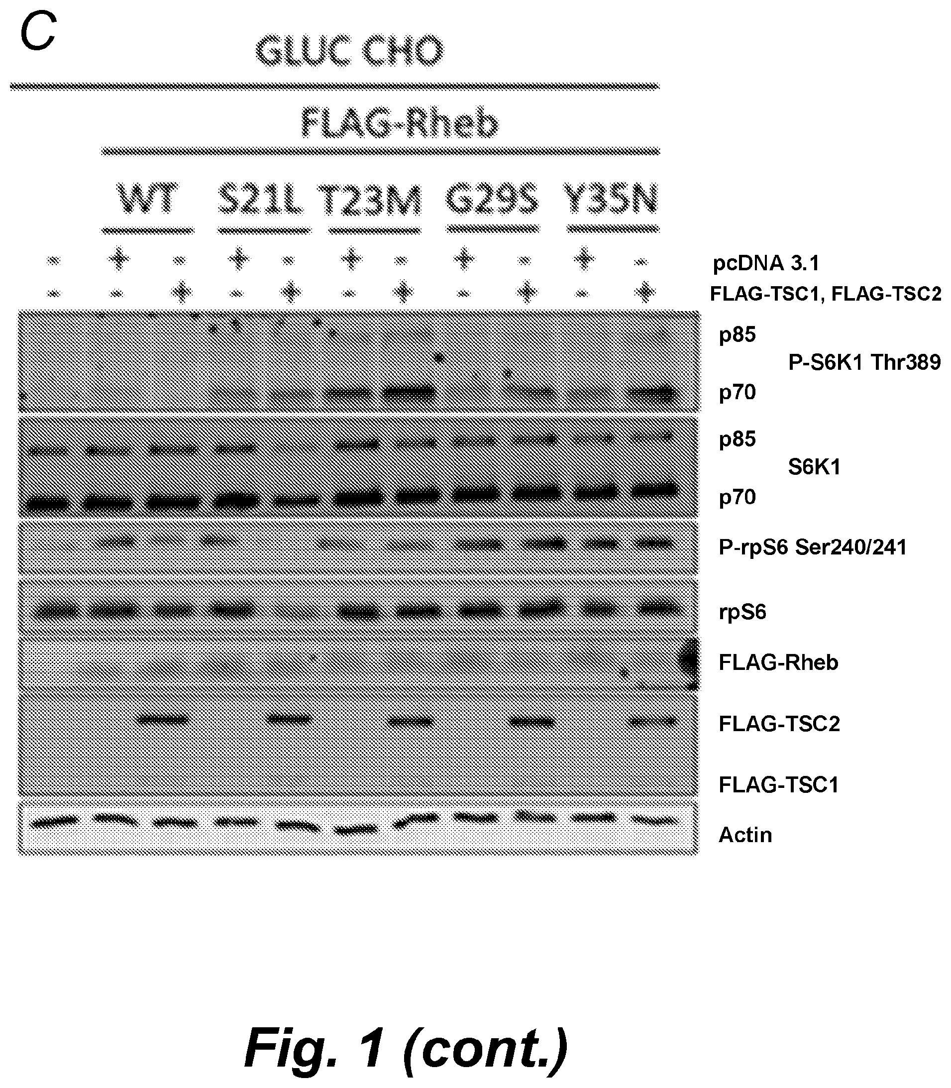 Patent US12492232 Figure 2 – Methods for producing proteins